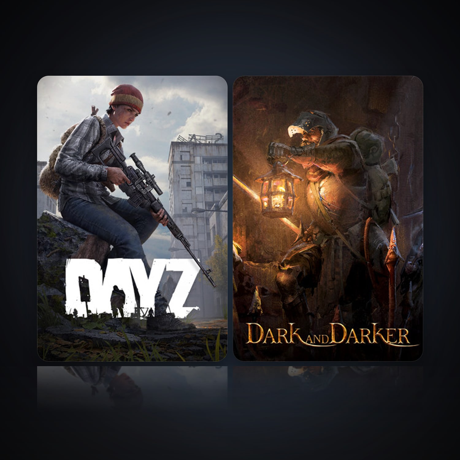 DayZ & Dark and Darker — HabibiAccounts