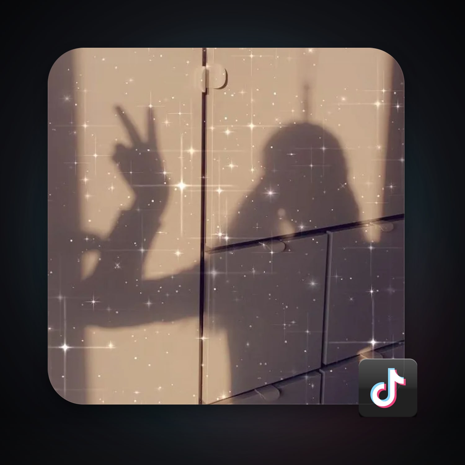 TikTok Account — HabibiAccounts