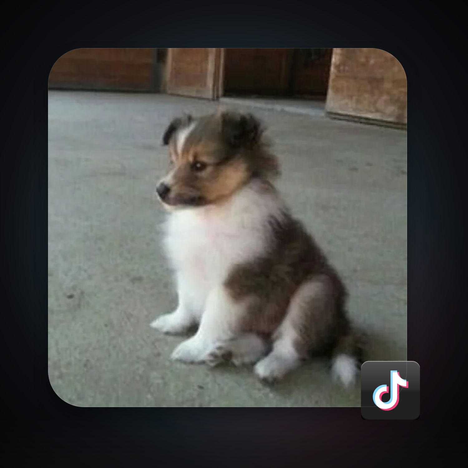 TikTok | 53 Followers — HabibiAccounts