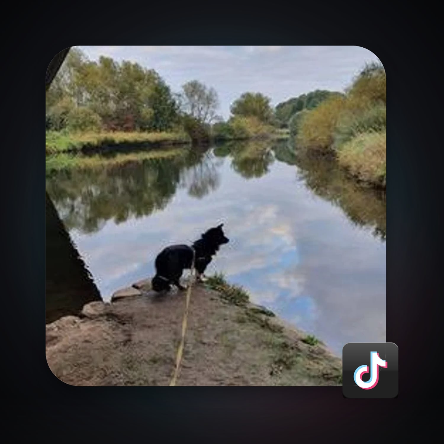 TikTok 9 followers — HabibiAccounts