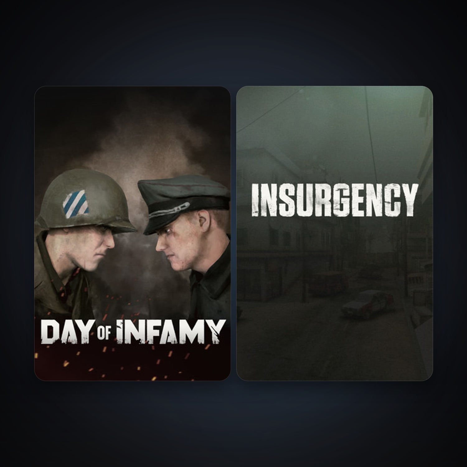 Insurgency + Day of Infamy, 3 games, clean — HabibiAccounts