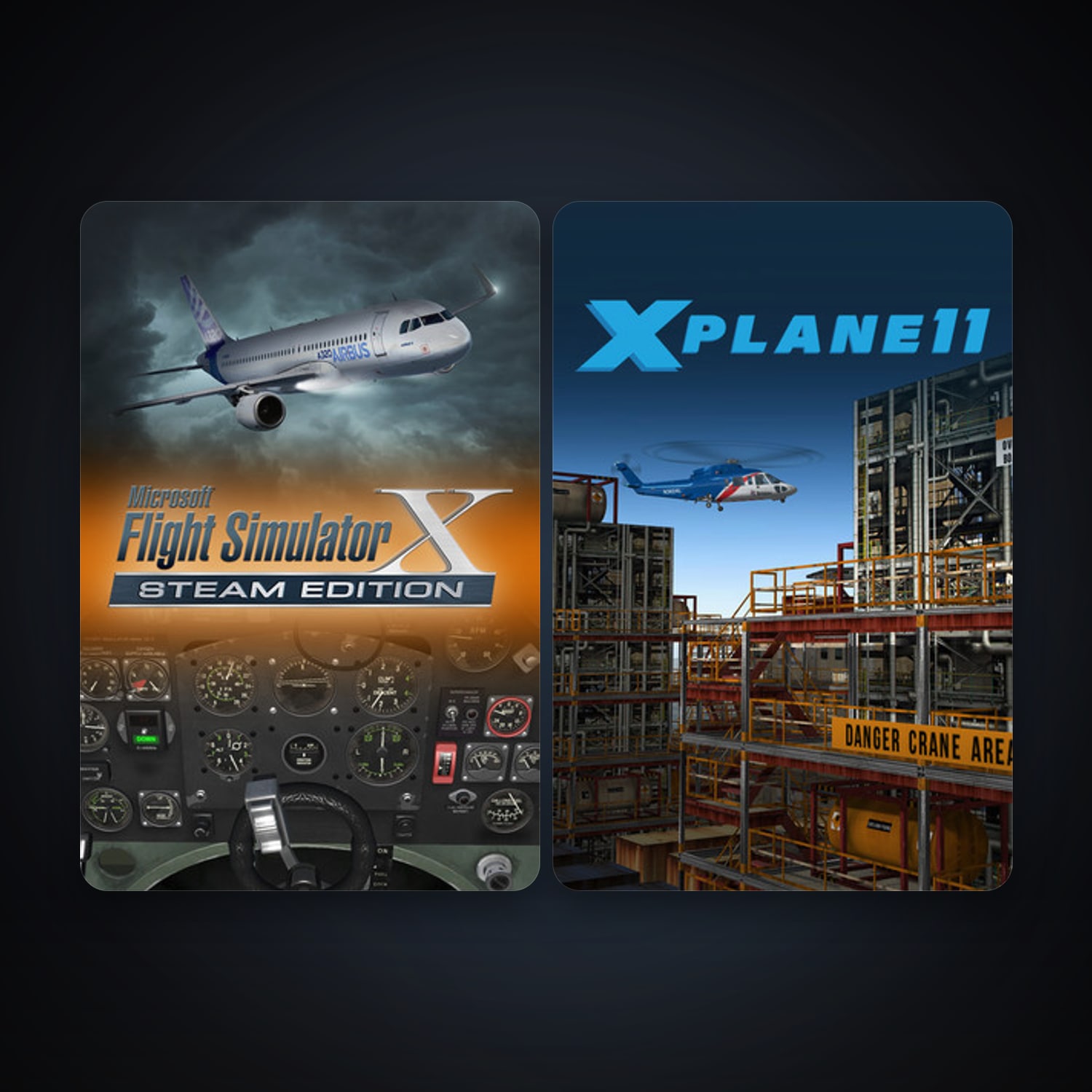 X-Plane 11 + Microsoft Flight Simulator X: Steam Edition, 2 games, clean — HabibiAccounts