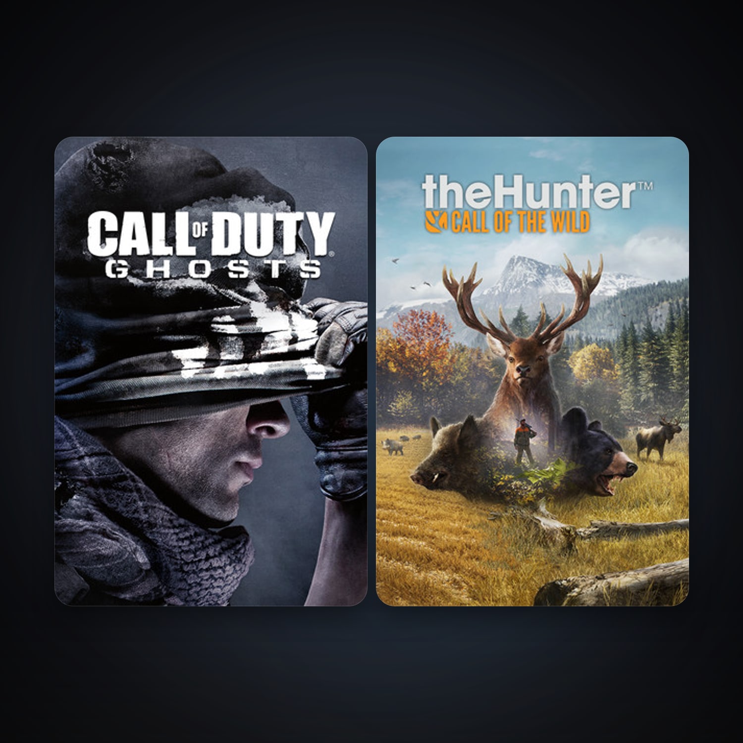 Call of Duty: Ghosts + theHunter: Call of the Wild, 4 games, clean — HabibiAccounts