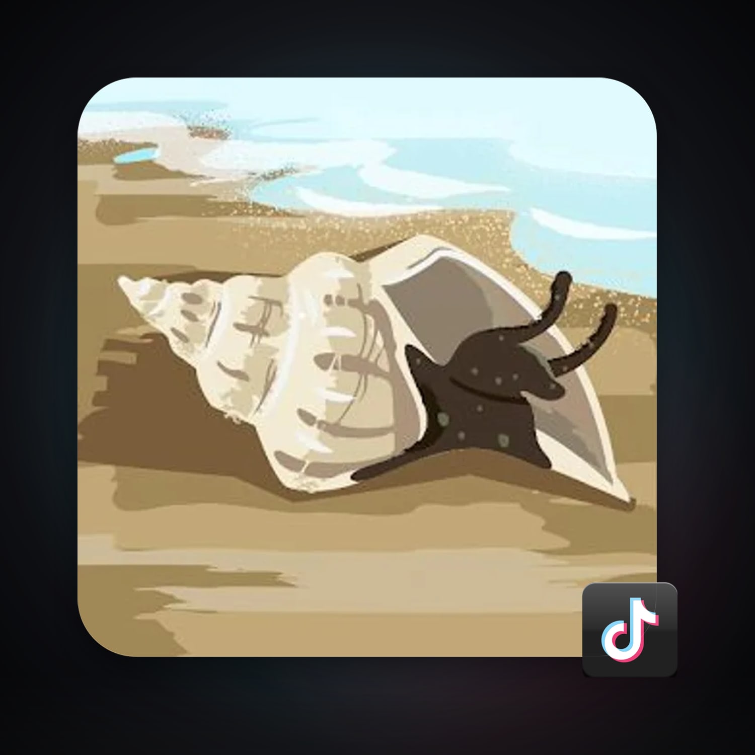TikTok Account — HabibiAccounts