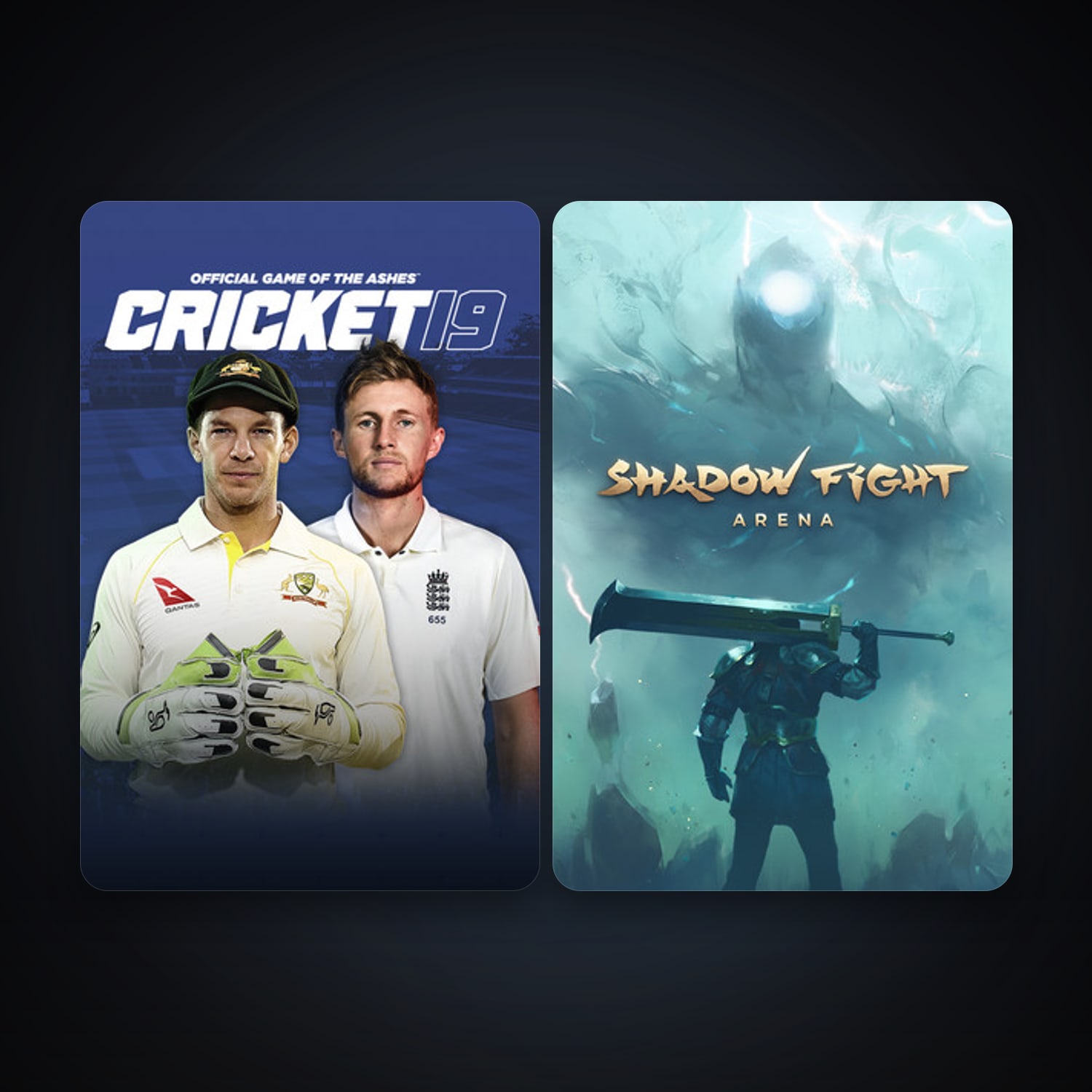 Cricket 19 + Shadow Fight Arena, 2 games, clean — HabibiAccounts