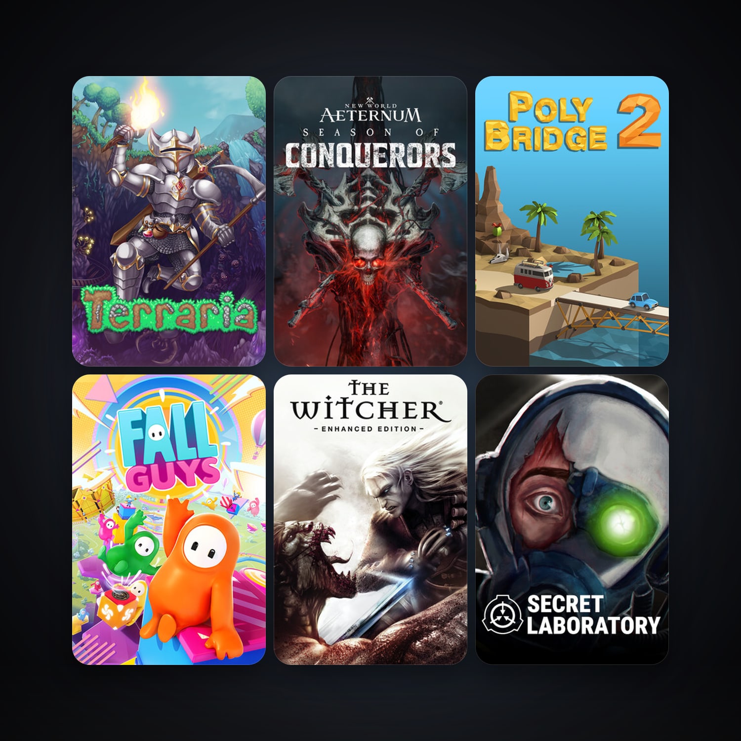 The Witcher: Enhanced Edition Director's Cut + Terraria, 8 games, clean — HabibiAccounts