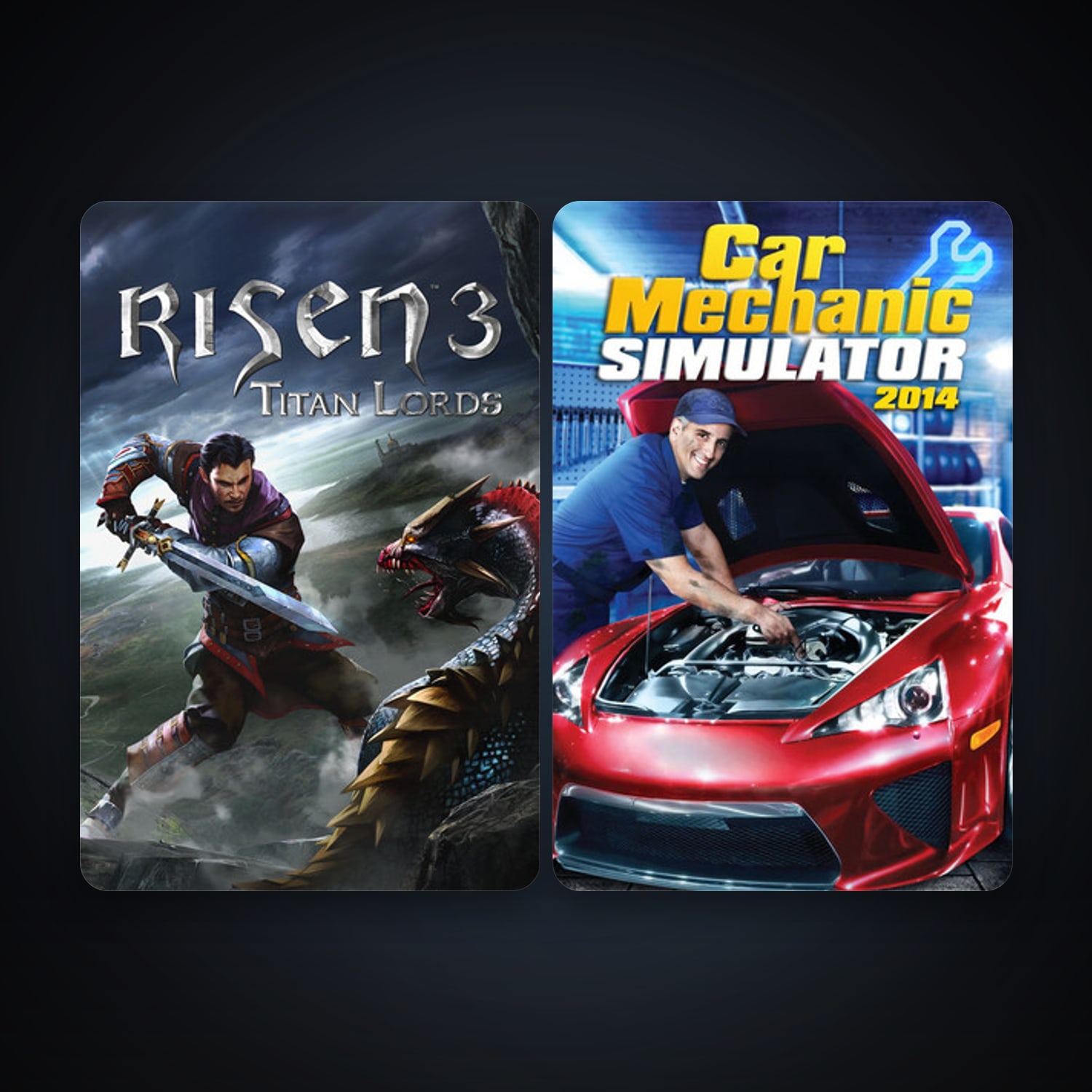 Risen 3 - Titan Lords + Car Mechanic Simulator 2014, 2 games, clean — HabibiAccounts