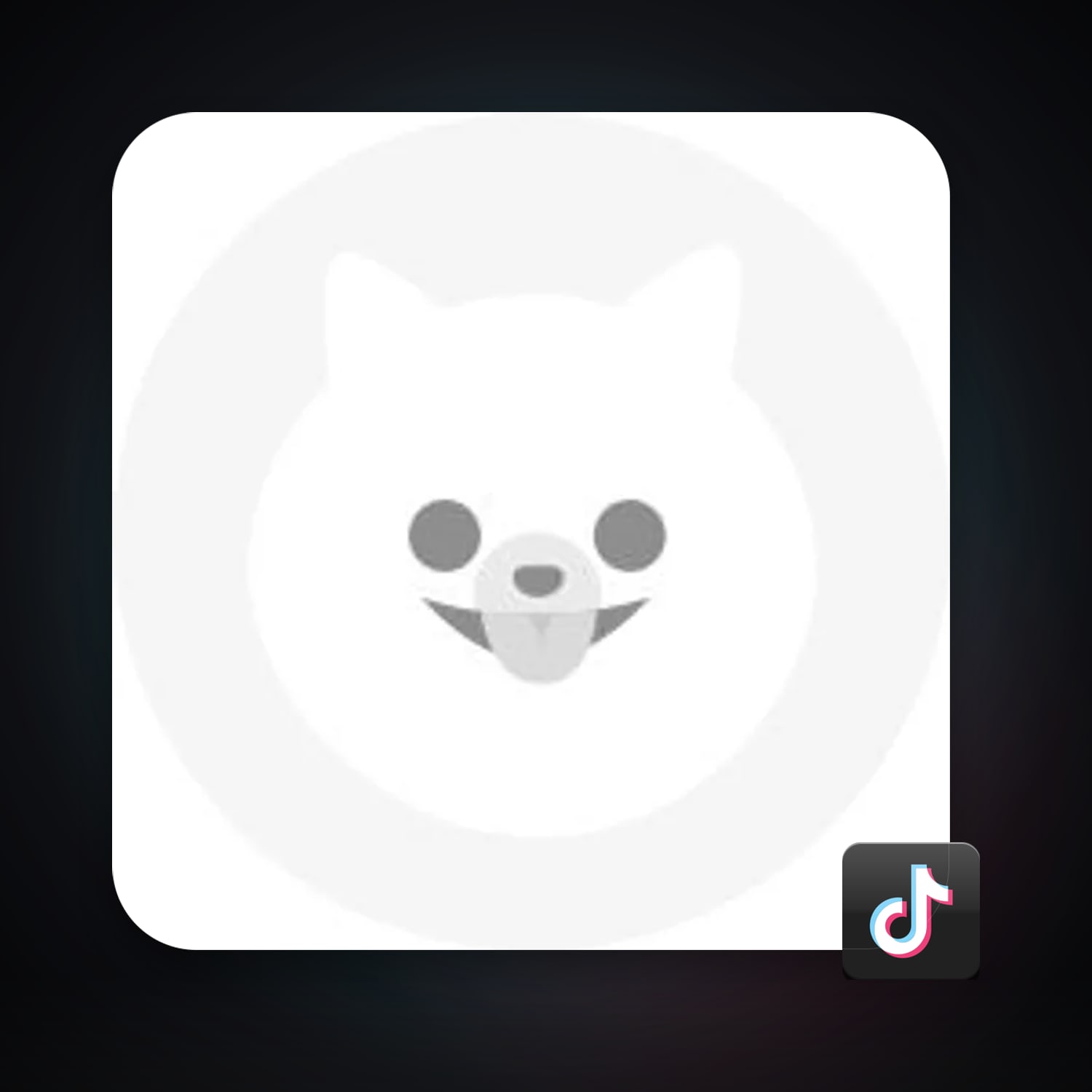 TikTok 15 followers — HabibiAccounts
