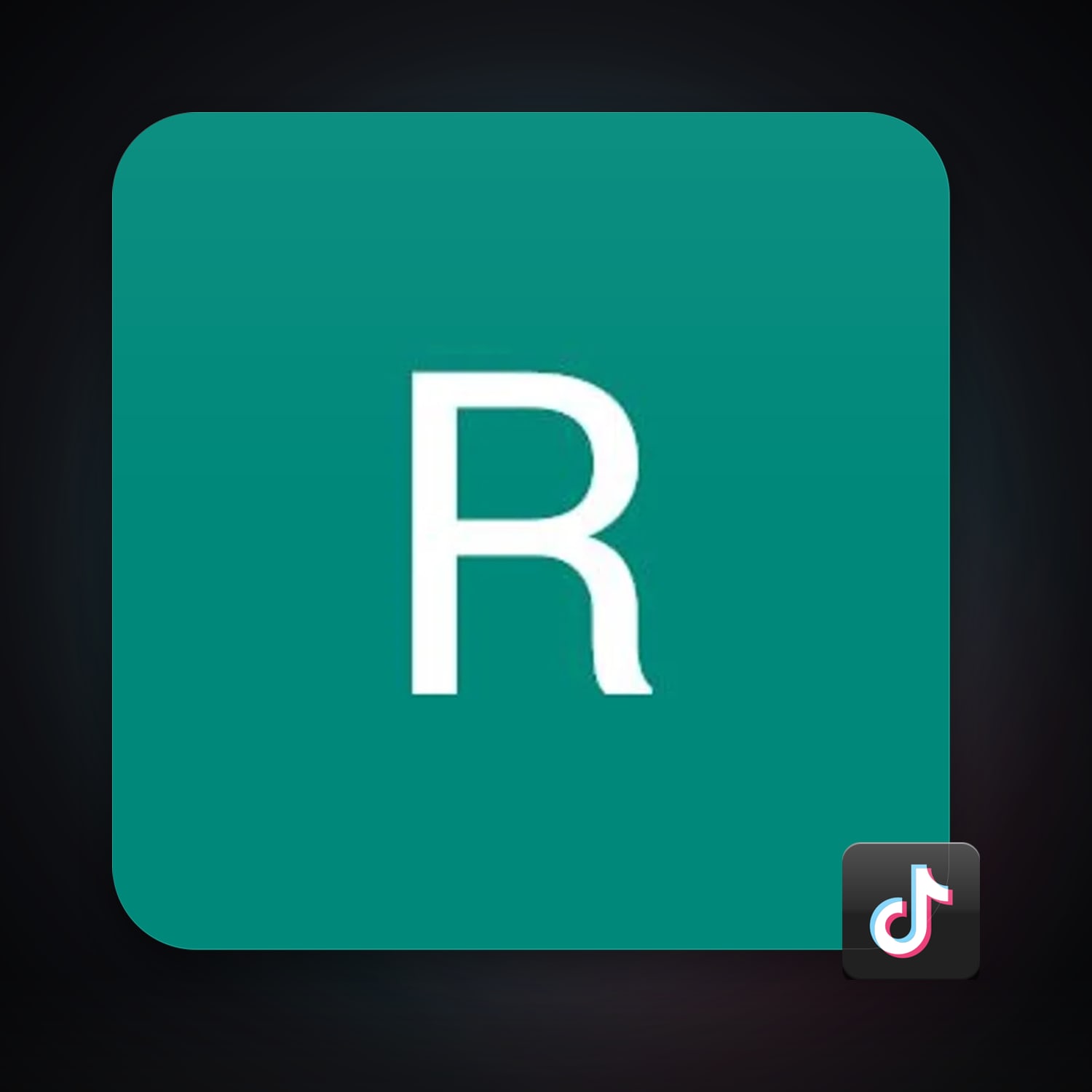TikTok — HabibiAccounts