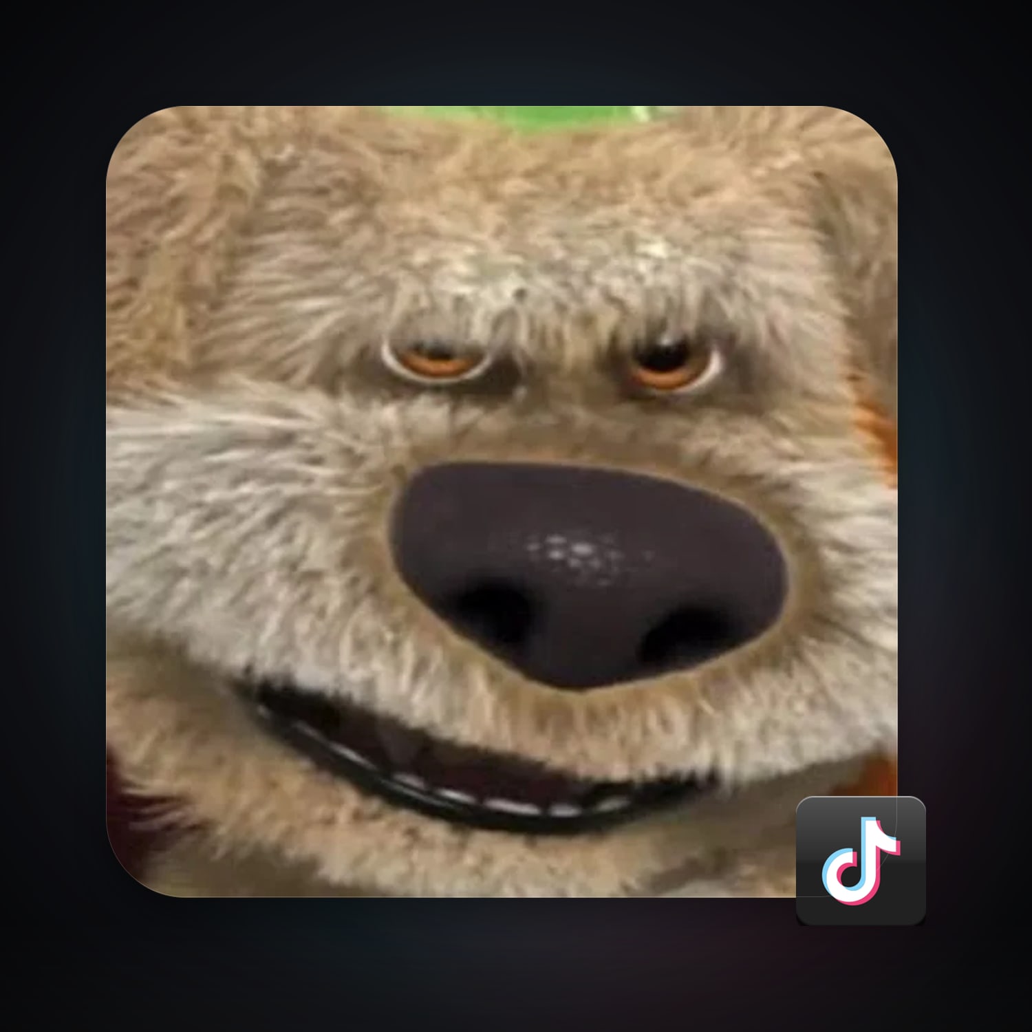 TikTok — HabibiAccounts