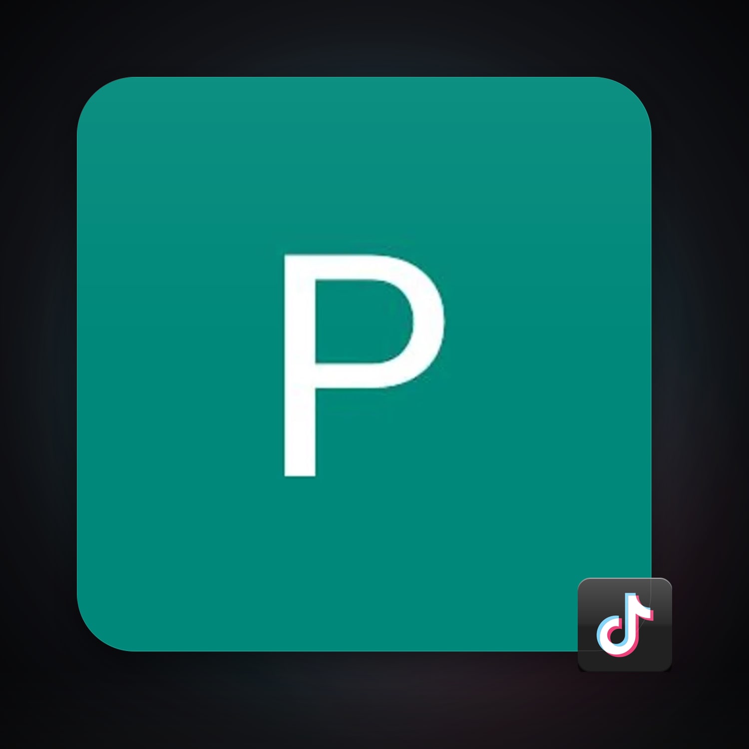 TikTok — HabibiAccounts