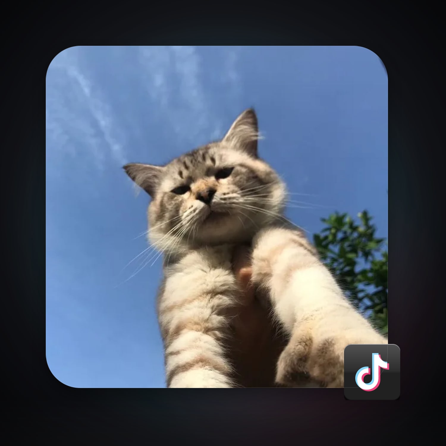 TikTok 7 followers — HabibiAccounts