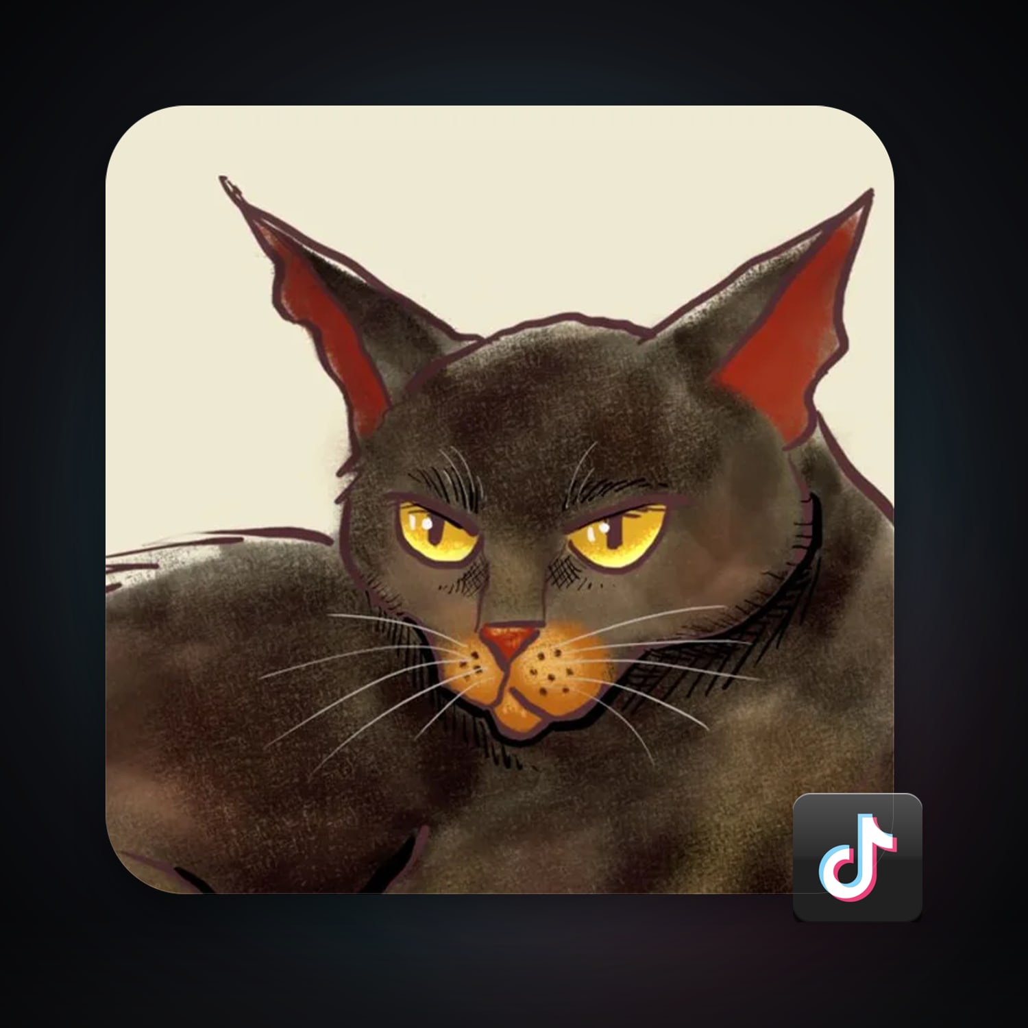 TikTok 13 followers — HabibiAccounts