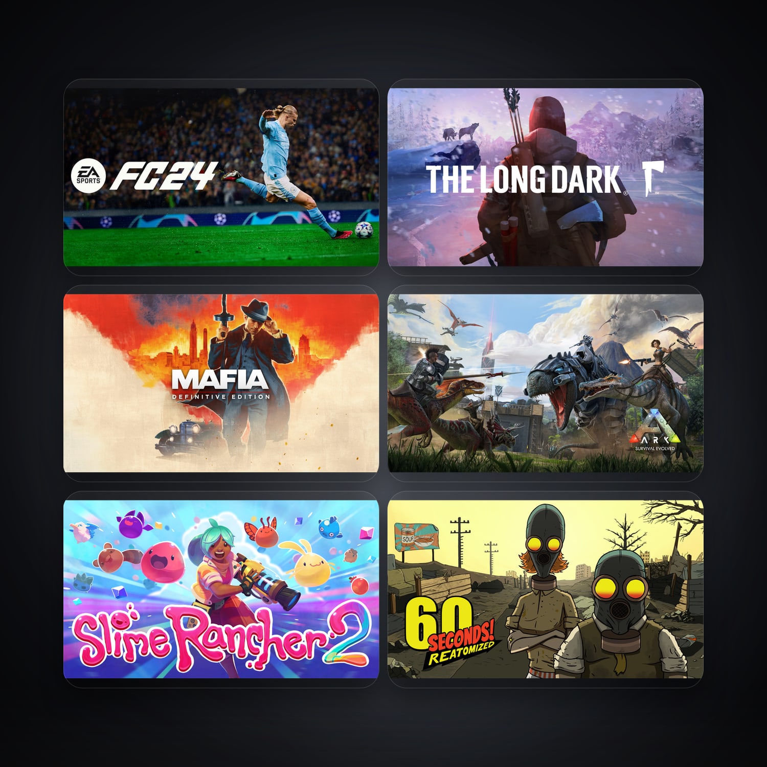 Epic EA SPORTS FC 24 + The Long Dark — TR — 14 games — HabibiAccounts