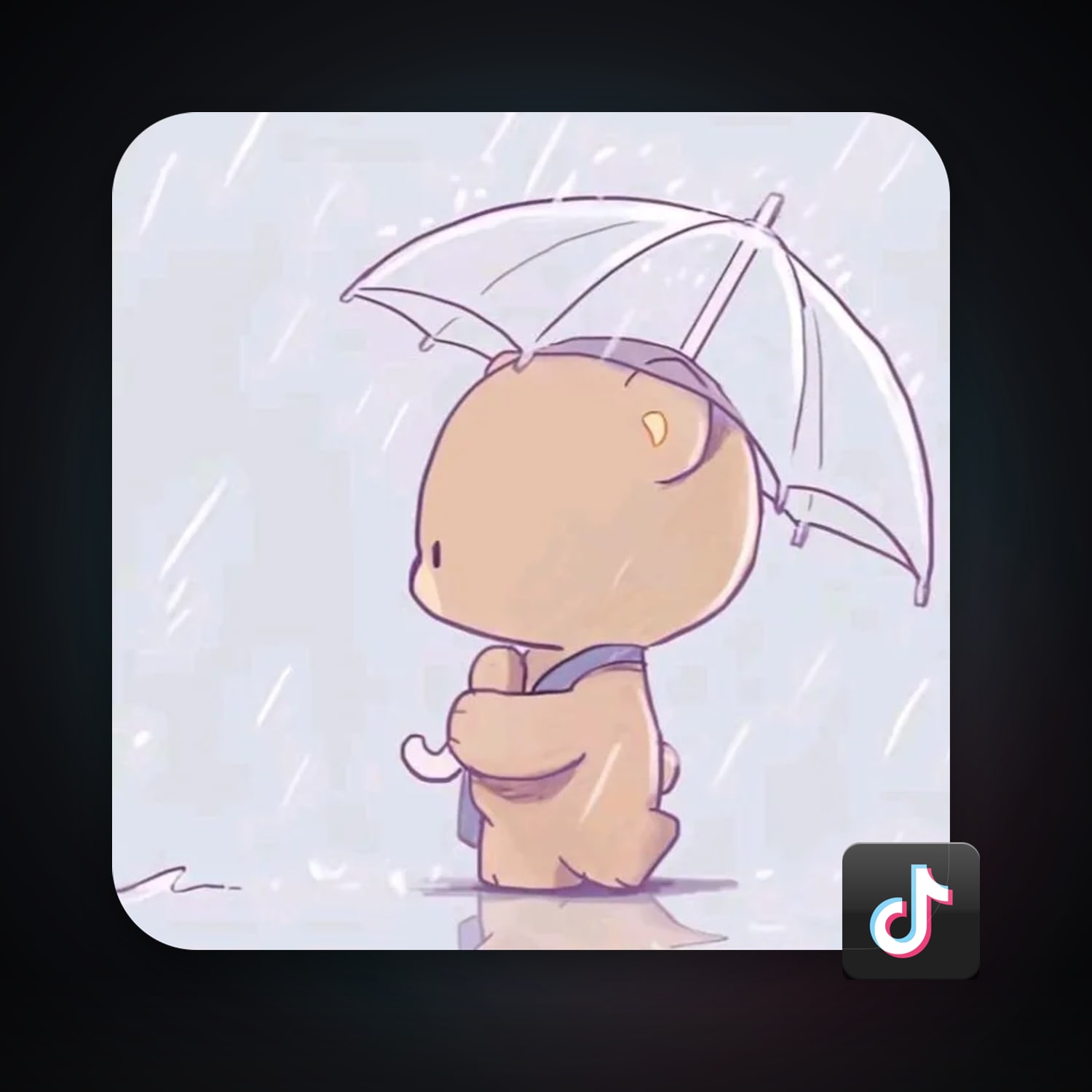 TikTok 346 followers — HabibiAccounts