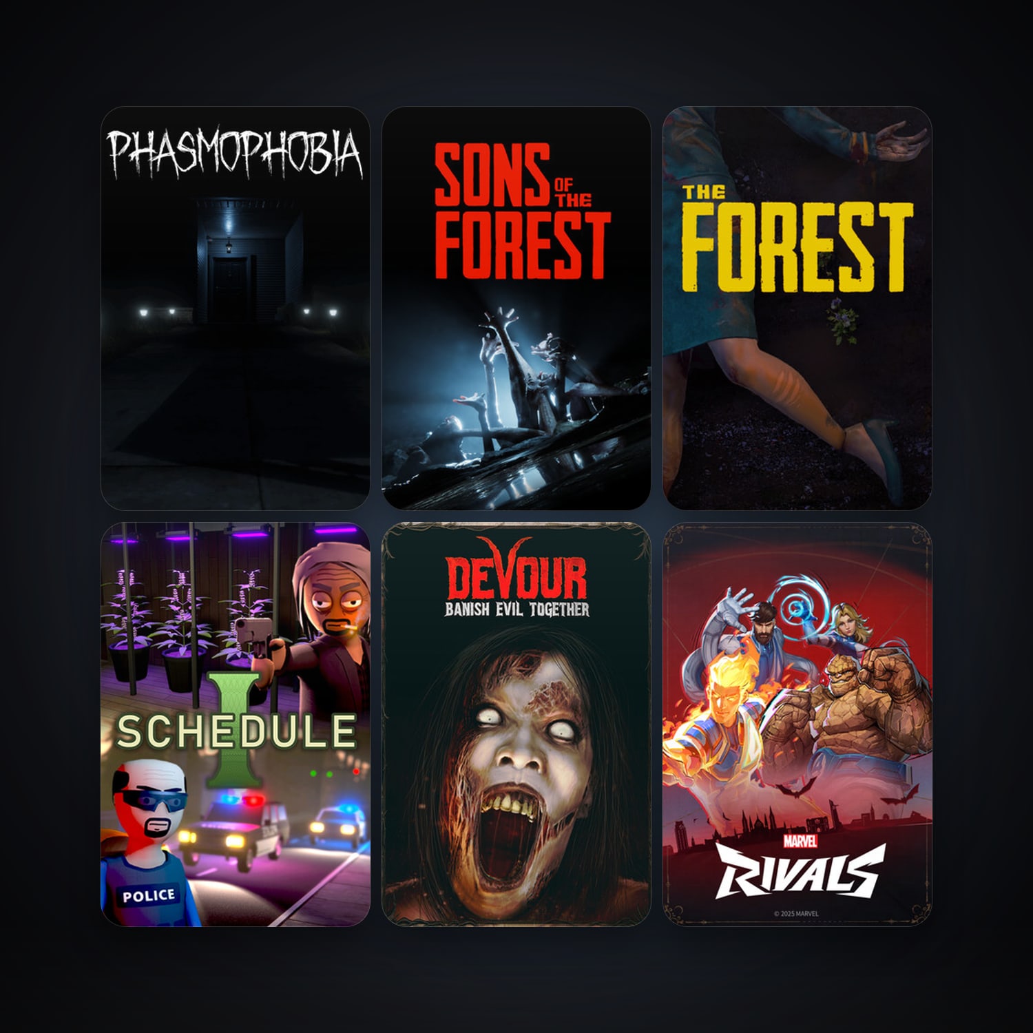 The Forest + Phasmophobia, 15 games, clean — HabibiAccounts