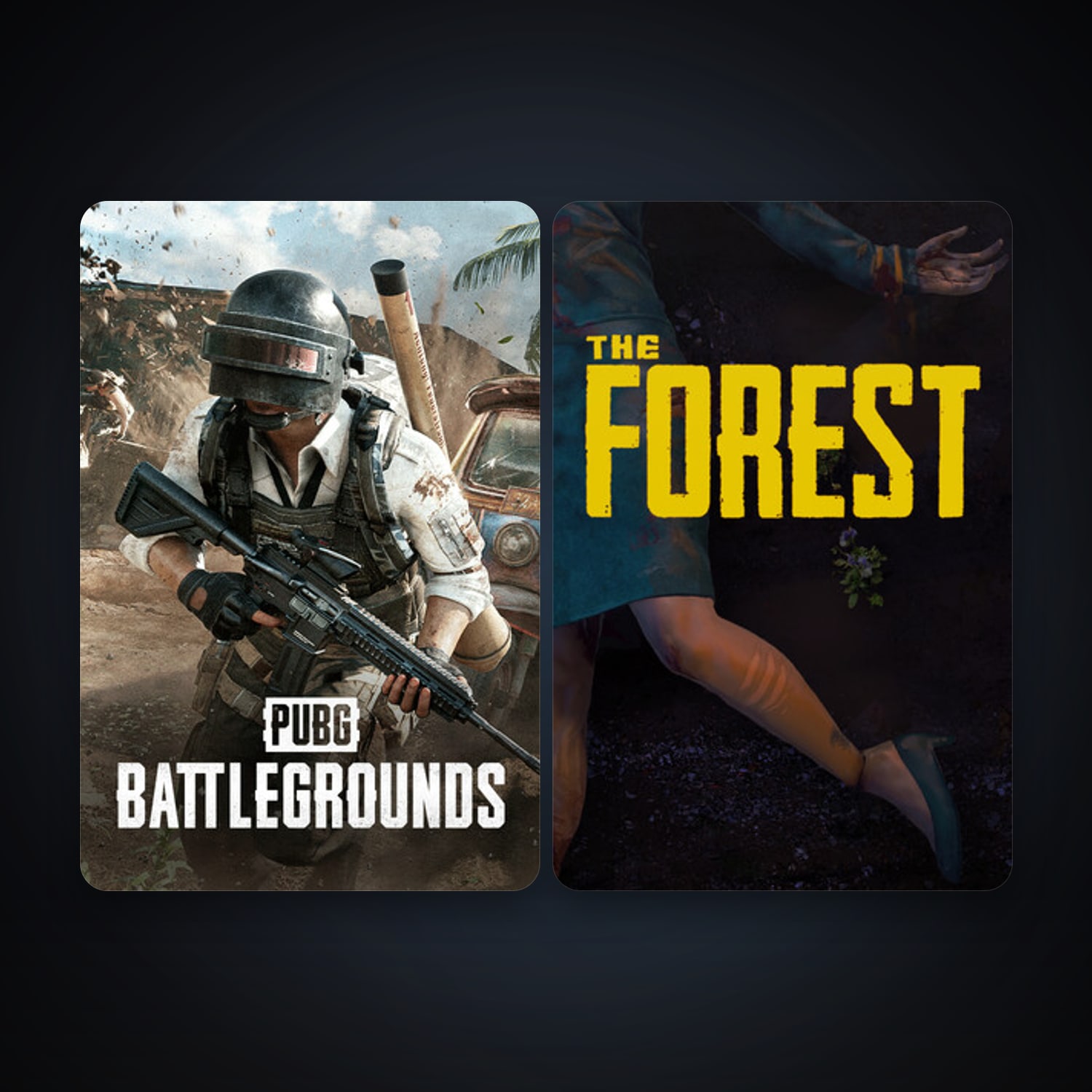 The Forest + PUBG: BATTLEGROUNDS, 4 games, clean — HabibiAccounts