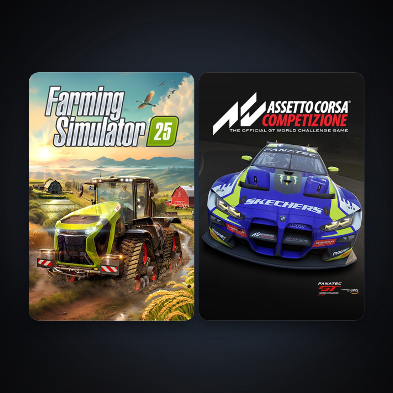 Assetto Corsa Competizione + Farming Simulator 25, 4 games, clean — HabibiAccounts
