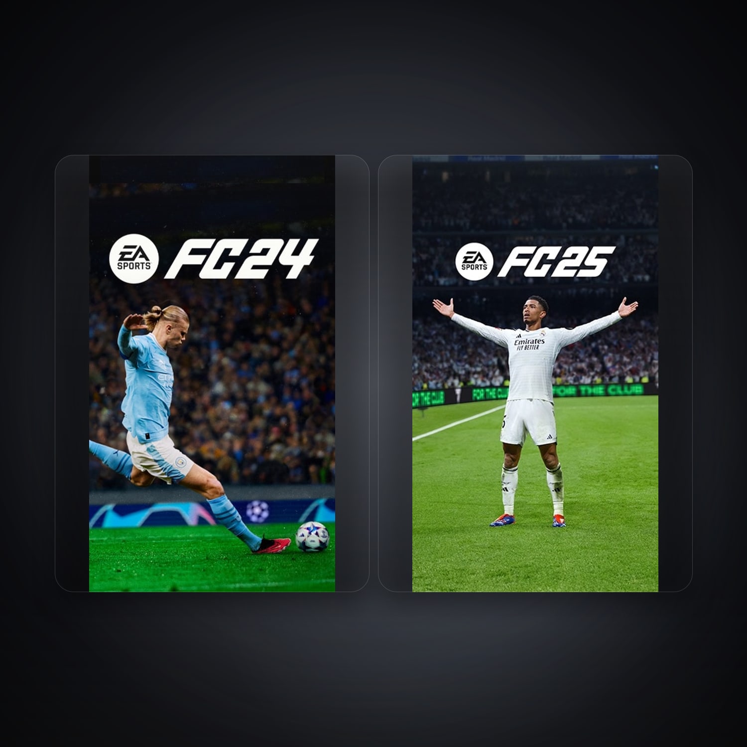 EA EA SPORTS FC24 + EA SPORTS FC 25 — DE — 4 games — HabibiAccounts