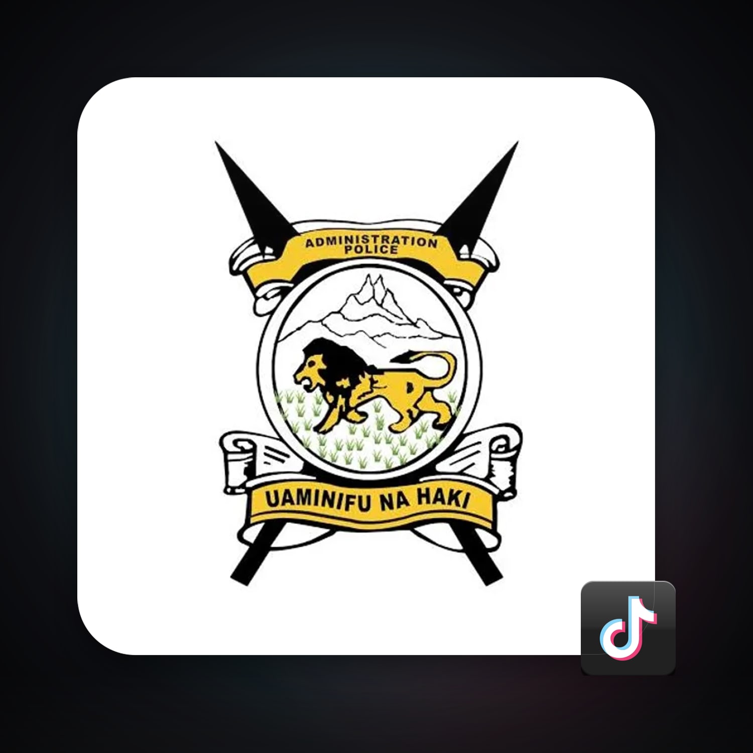 TikTok 99.3K followers — HabibiAccounts