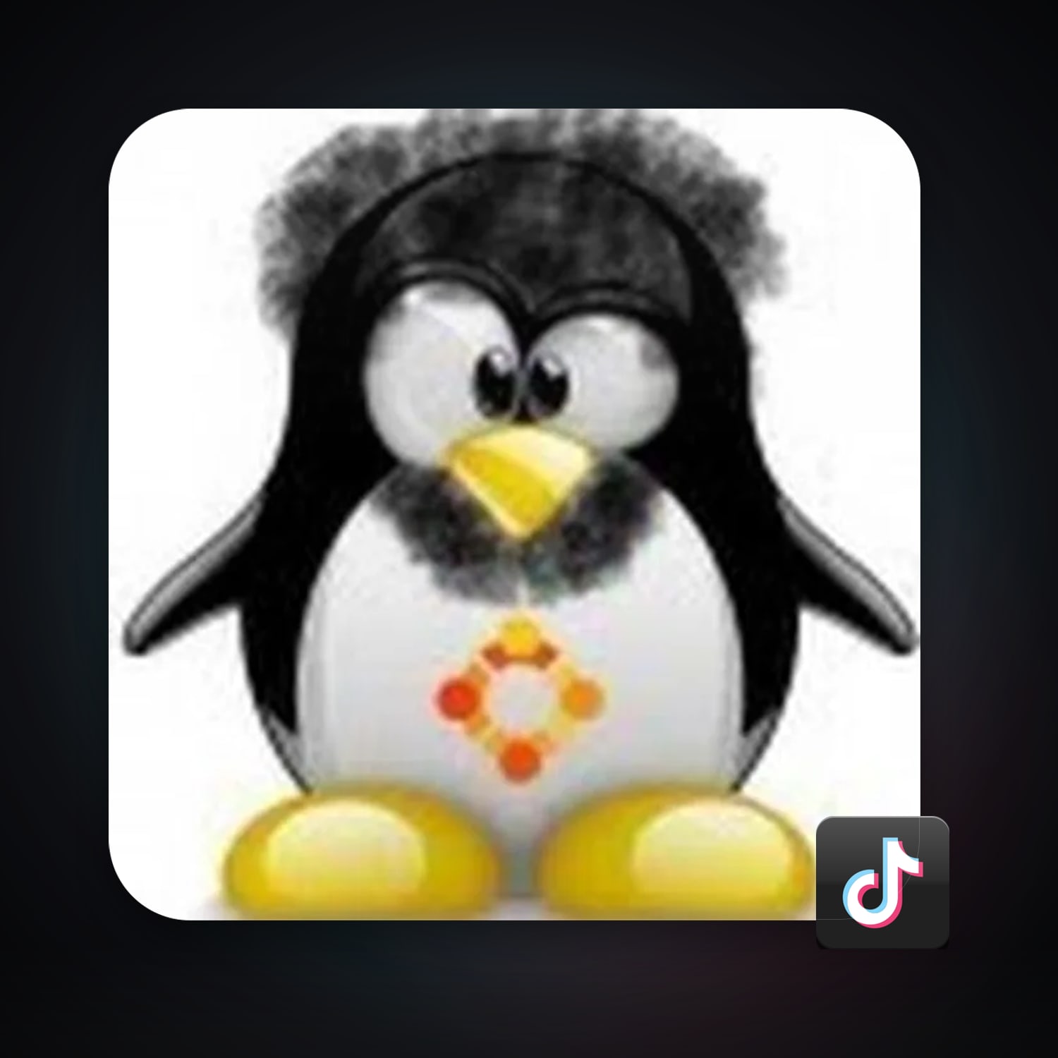 TikTok 38 followers — HabibiAccounts