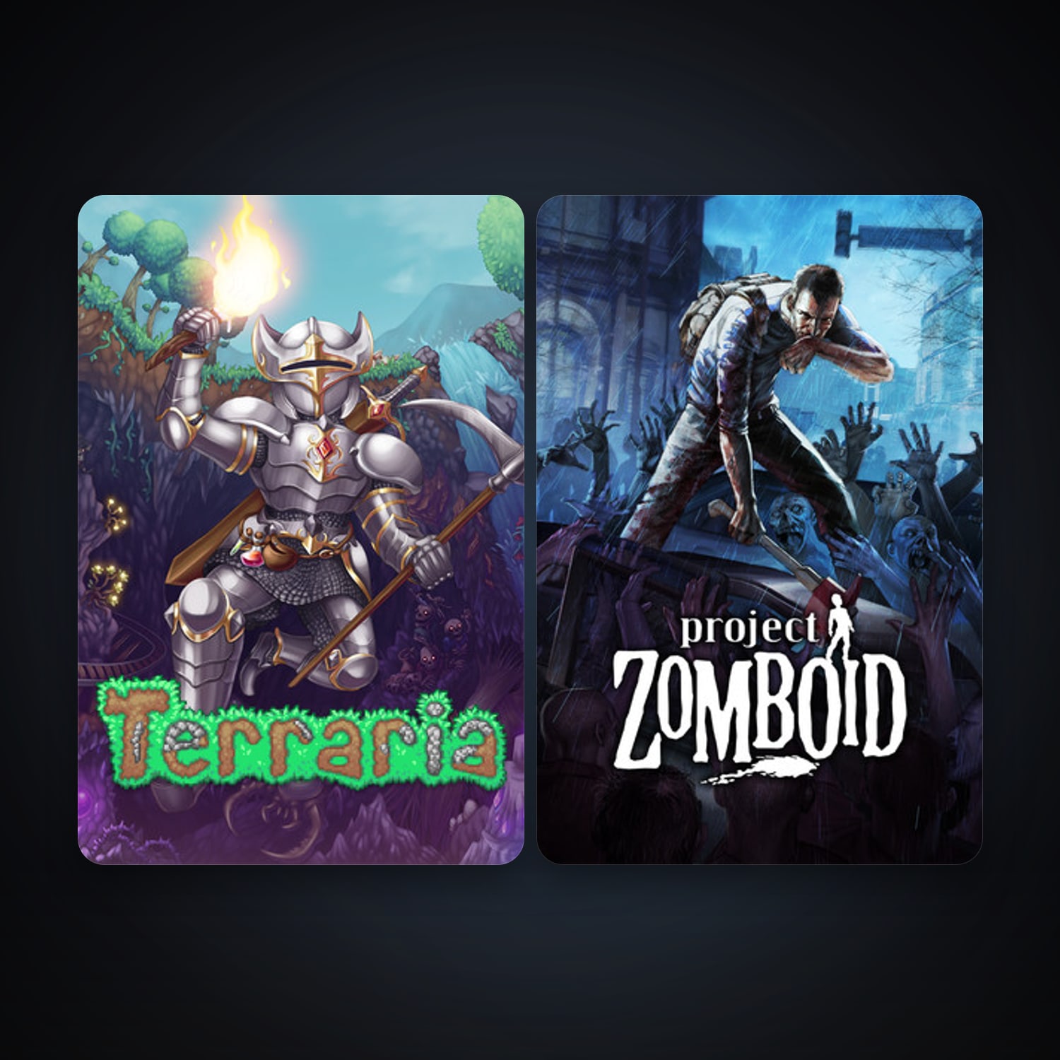 Terraria + Project Zomboid, 2 games, clean — HabibiAccounts