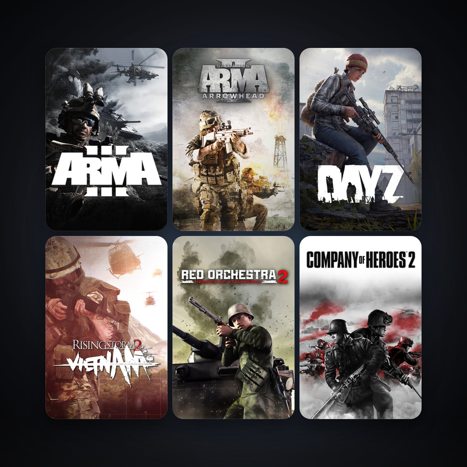 Arma 2: Operation Arrowhead + Red Orchestra 2: Heroes of Stalingrad with Rising Storm, 41 games, Steam 10, clean — HabibiAccounts