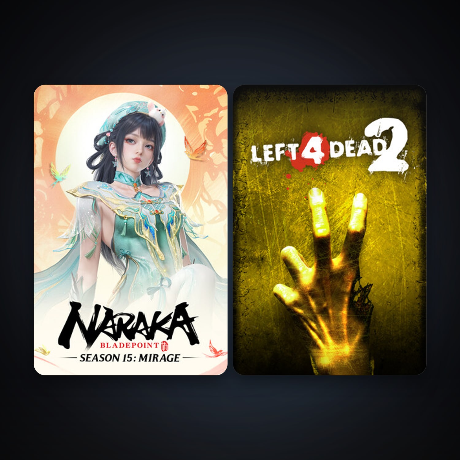 Left 4 Dead 2 + NARAKA: BLADEPOINT, 2 games, clean — HabibiAccounts