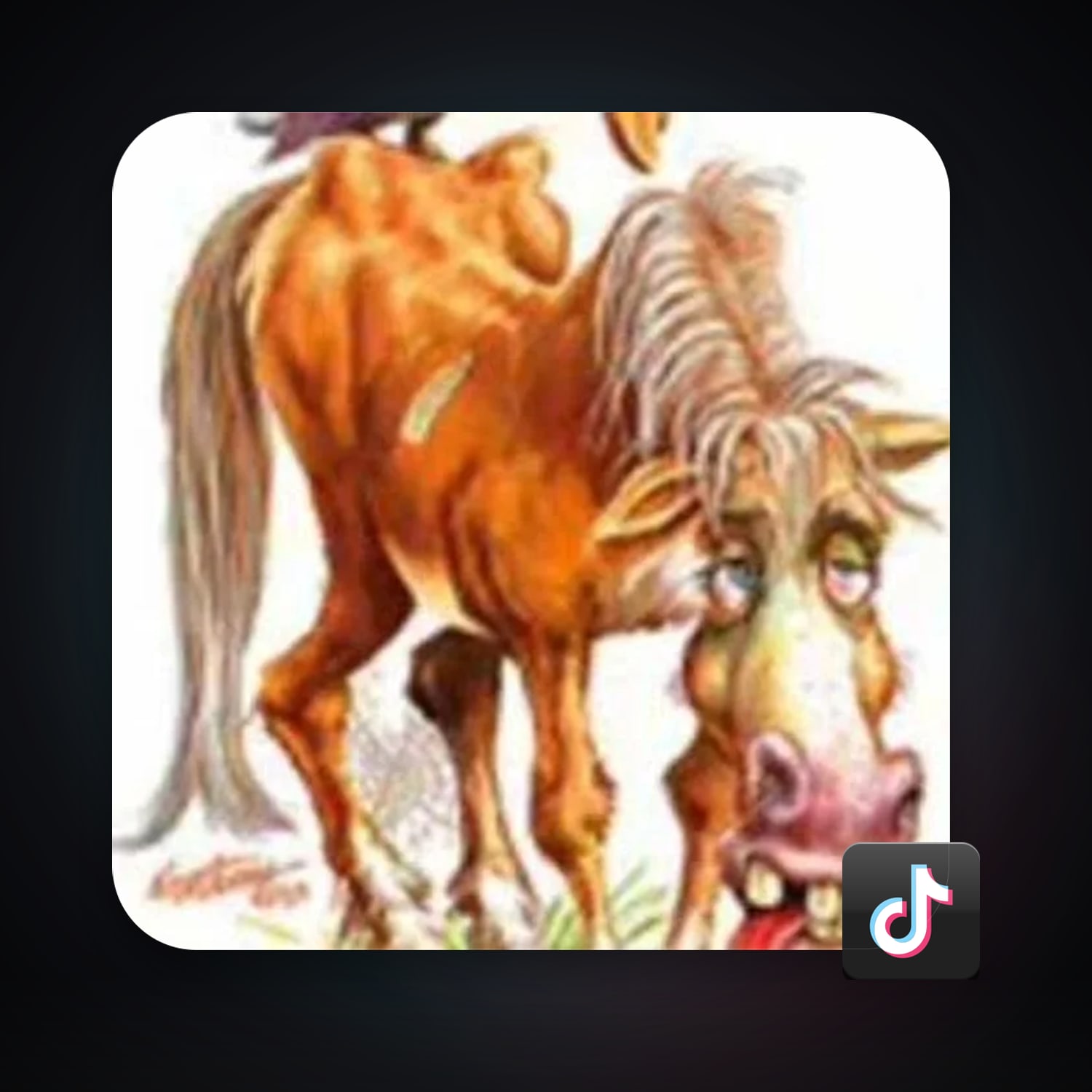 TikTok 7 followers — HabibiAccounts