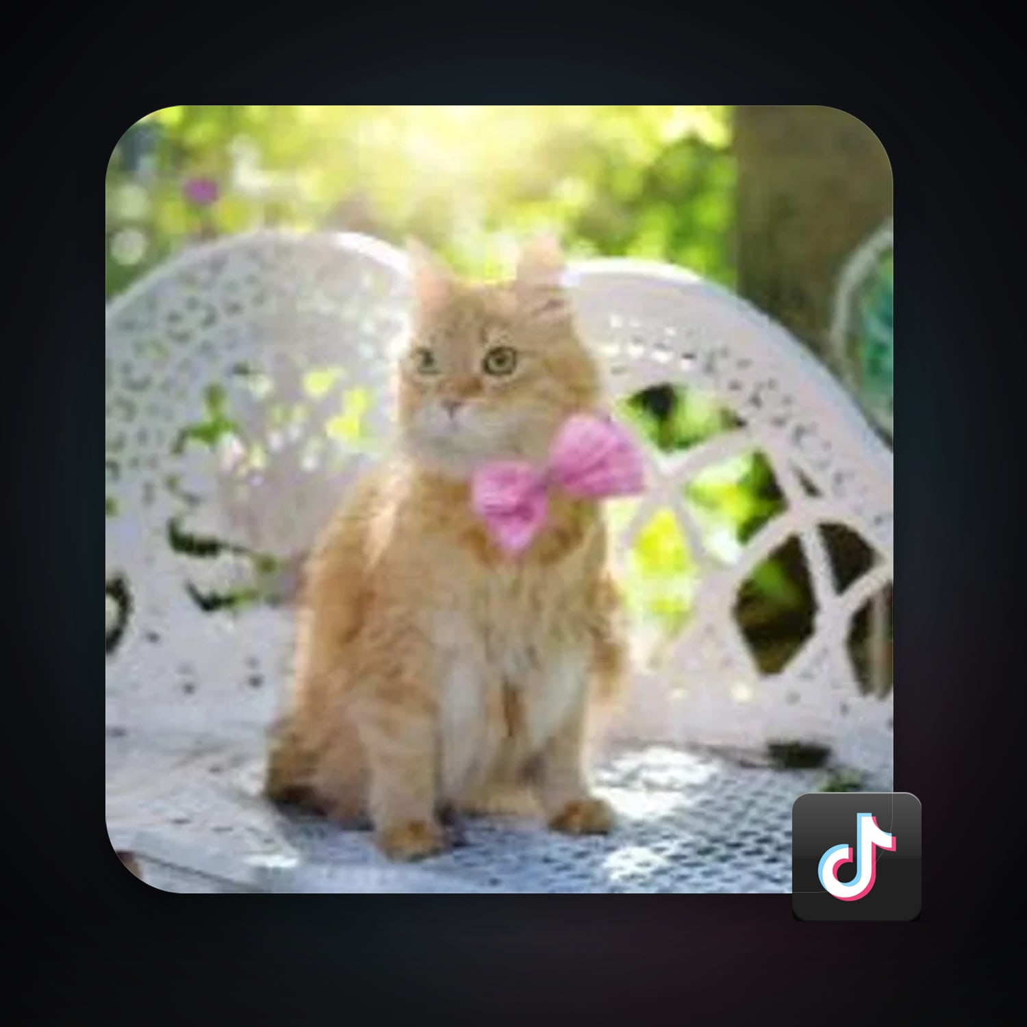 TikTok 11 followers — HabibiAccounts