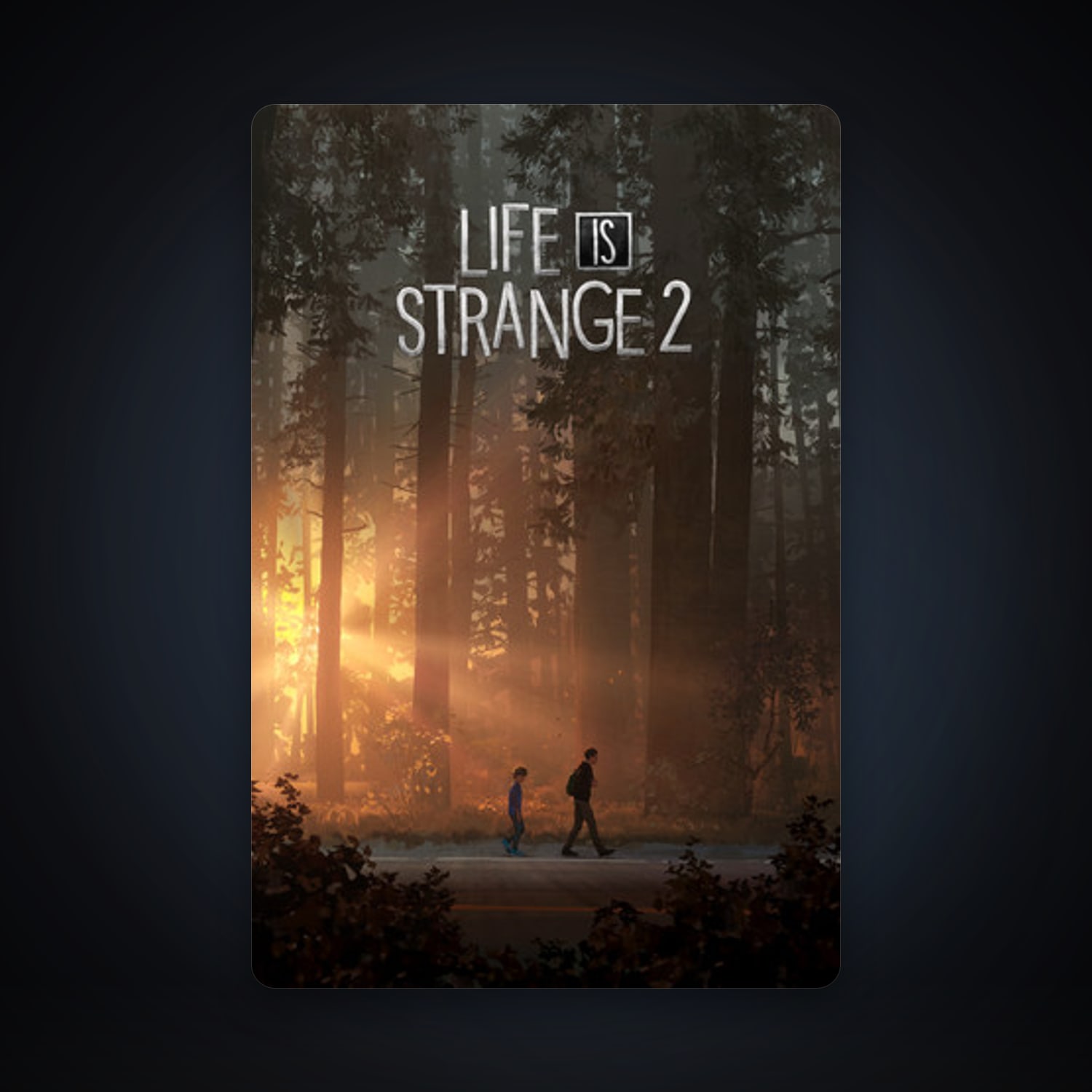 Life is Strange 2, 1 games, clean — HabibiAccounts