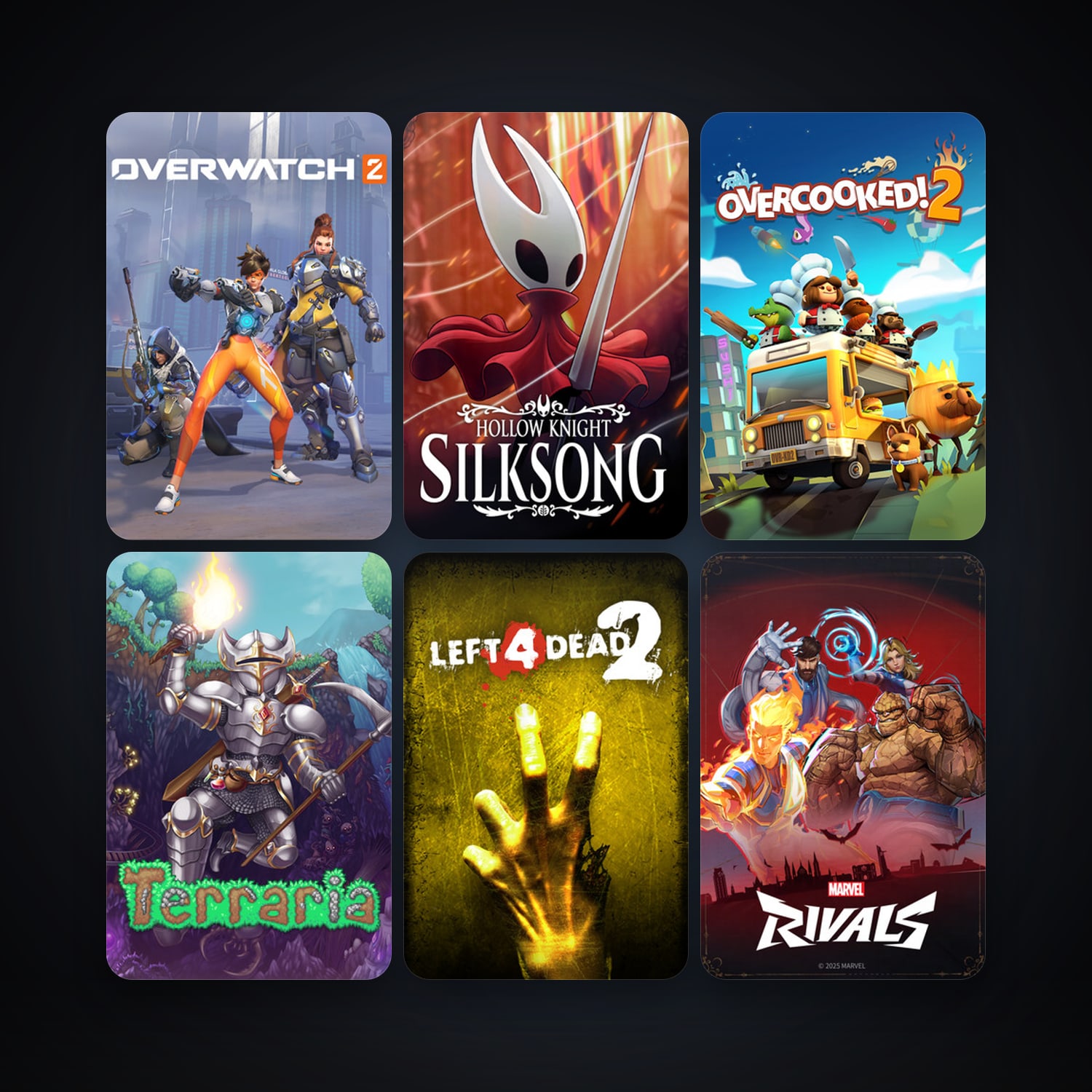 Left 4 Dead 2 + Terraria, 16 games, clean — HabibiAccounts
