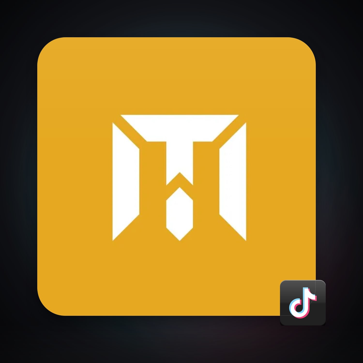 TikTok 18 followers — HabibiAccounts
