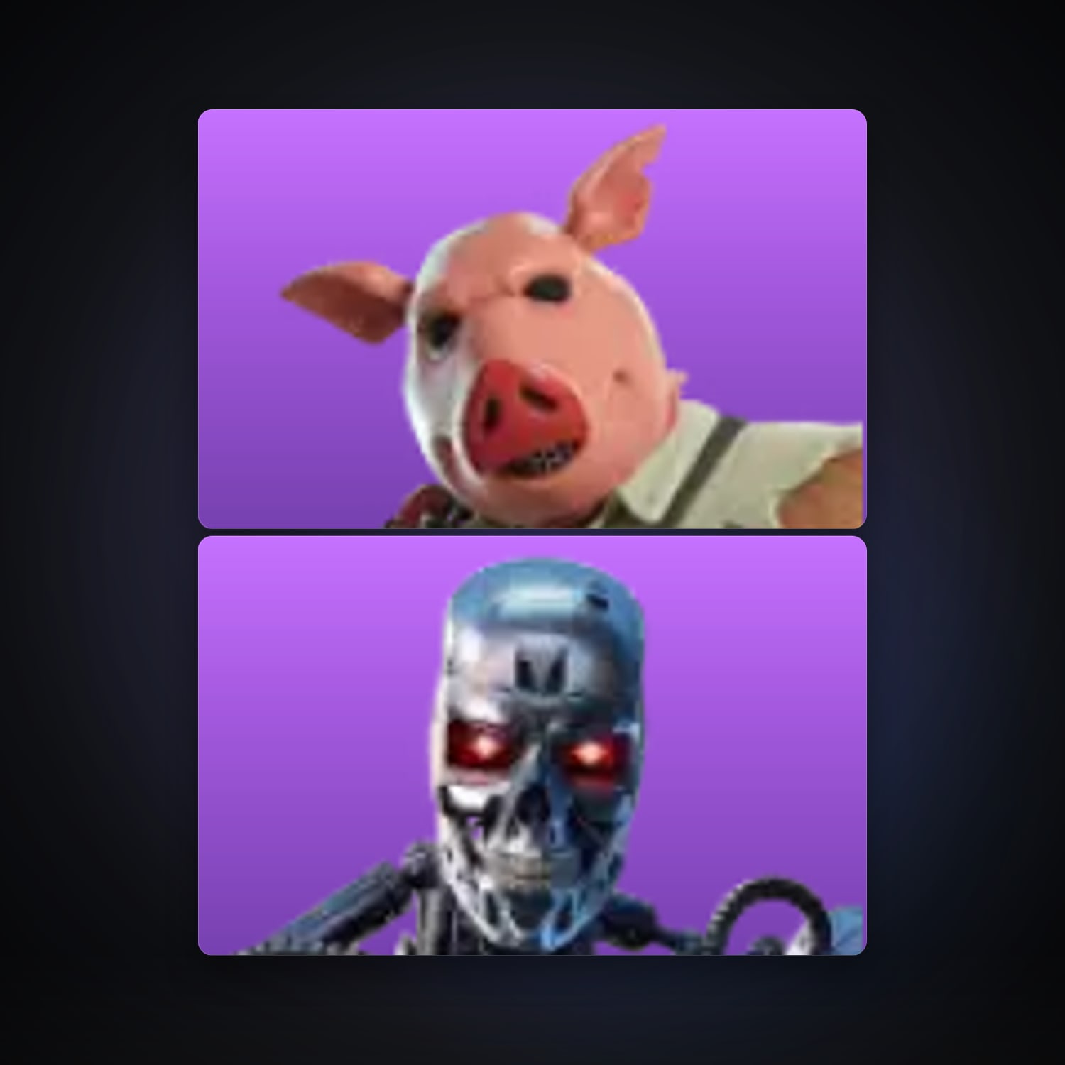 Fortnite locker — 2 skins — lvl 295 — HabibiAccounts