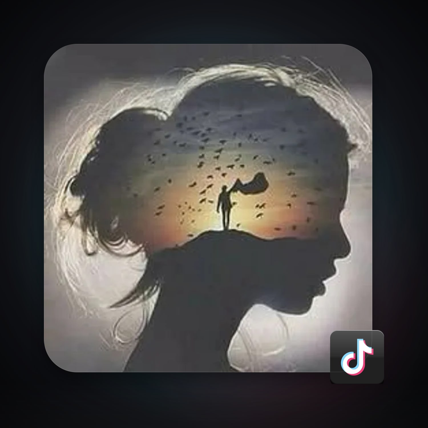 TikTok — HabibiAccounts