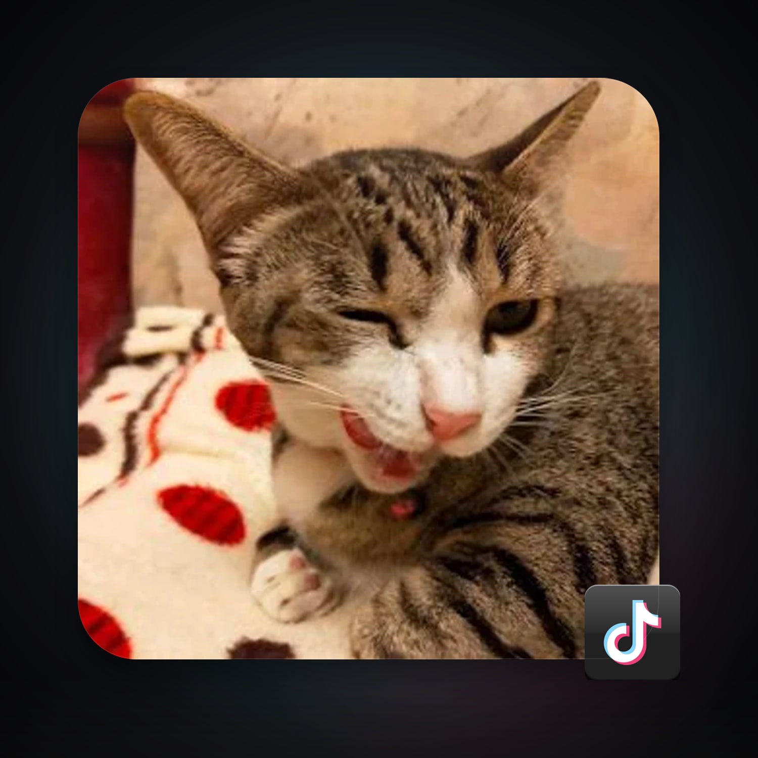 TikTok — HabibiAccounts