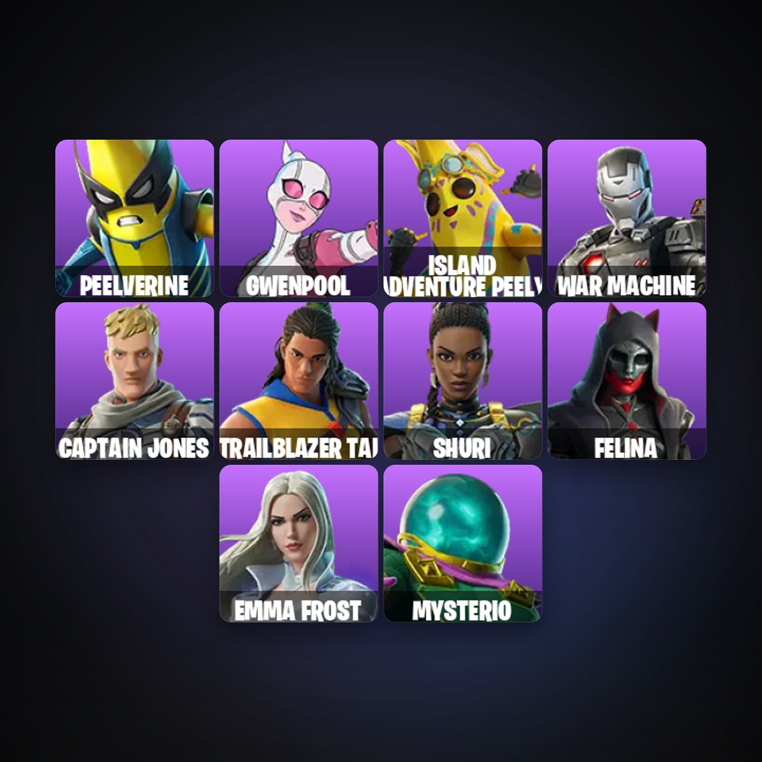 Fortnite locker — 12 skins — lvl 650 — HabibiAccounts