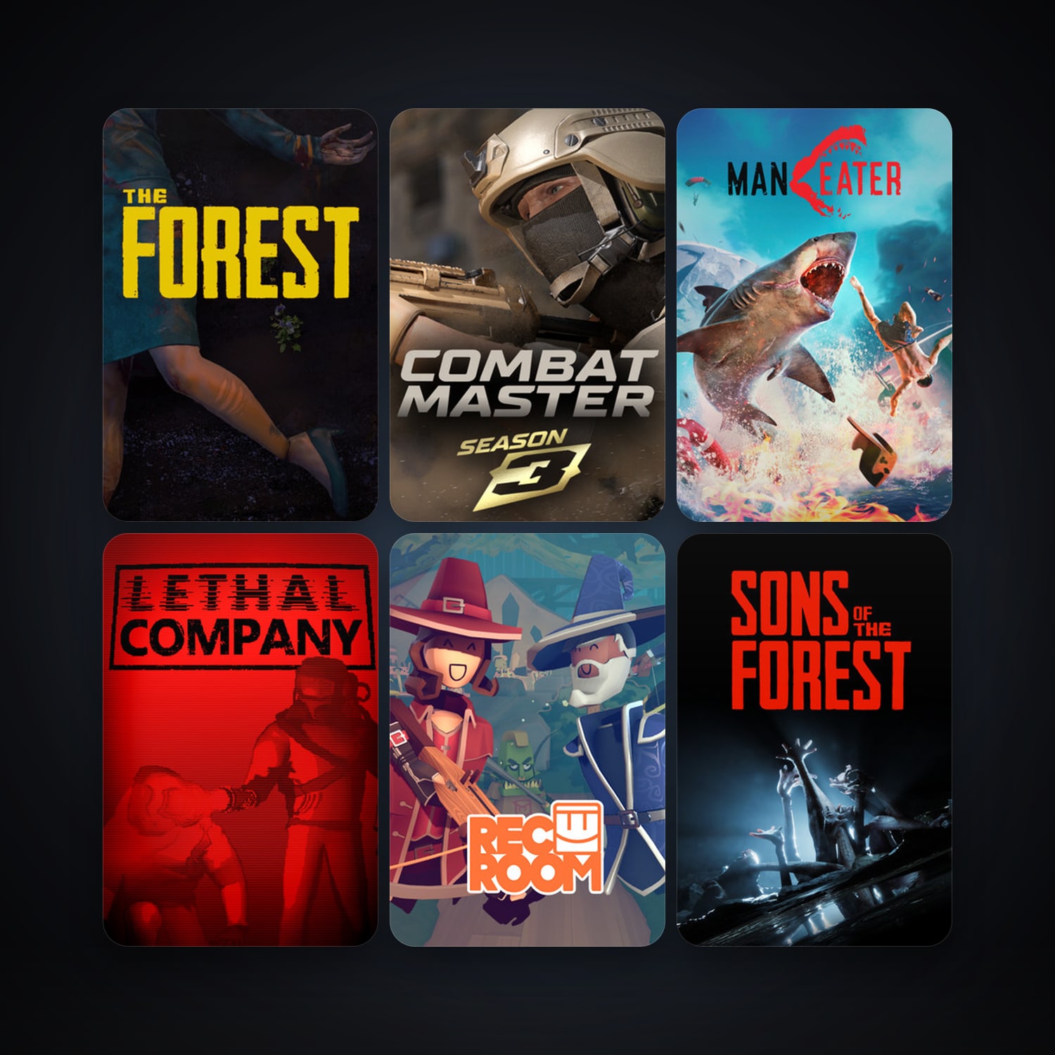 The Forest + Rec Room, 22 games, clean — HabibiAccounts