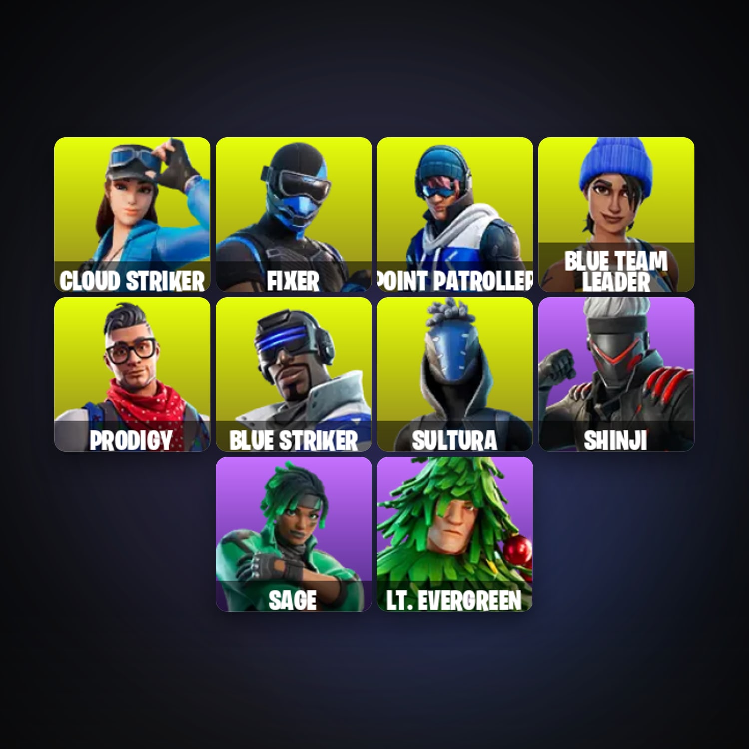 Fortnite locker — 14 skins — 100 V-Bucks — lvl 346 — HabibiAccounts
