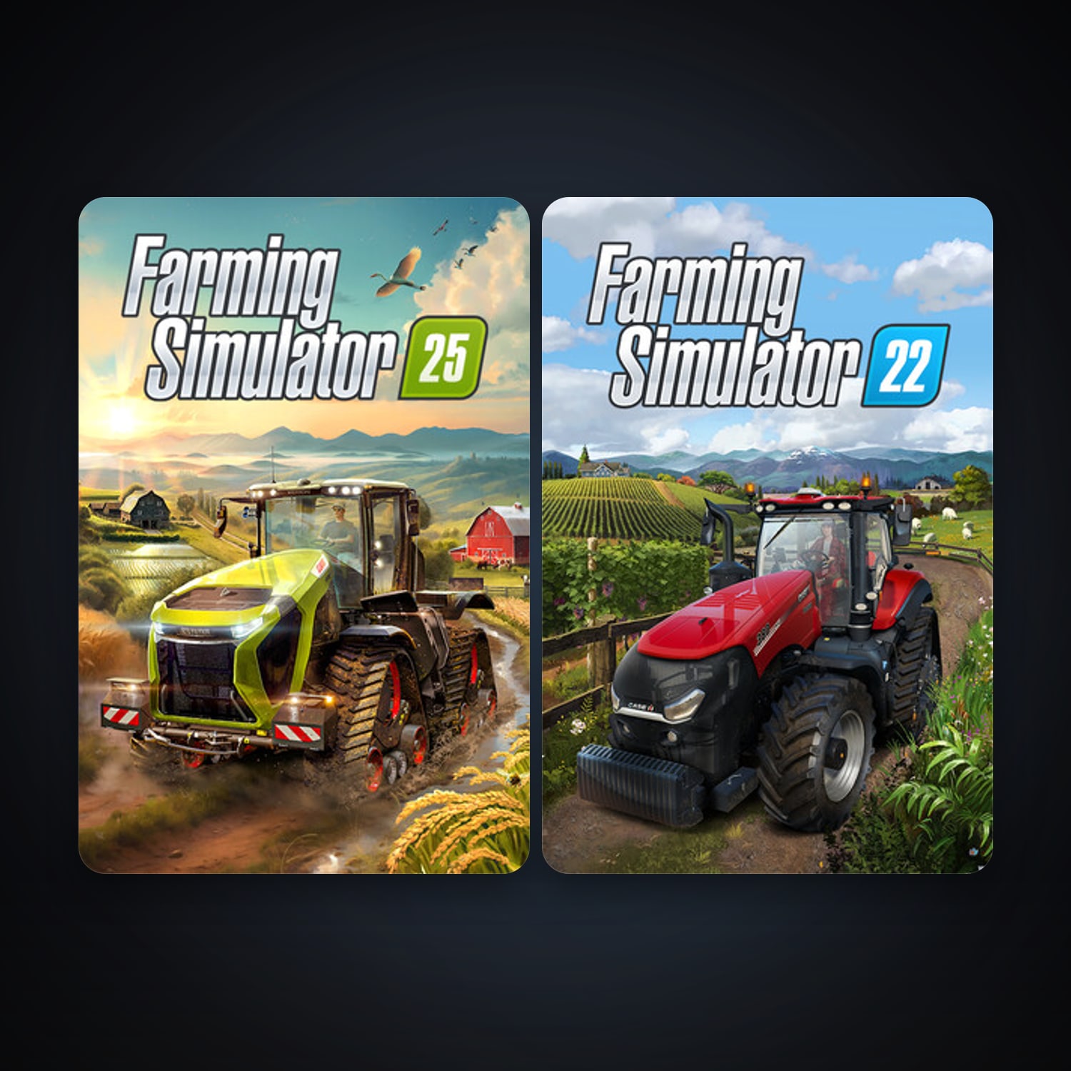 Farming Simulator 22 + Farming Simulator 25, 2 games, clean — HabibiAccounts