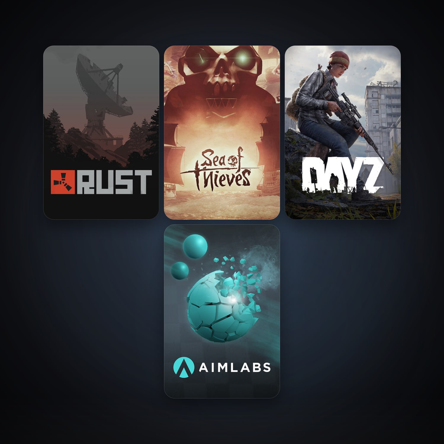 DayZ + Rust, 11 games, clean — HabibiAccounts