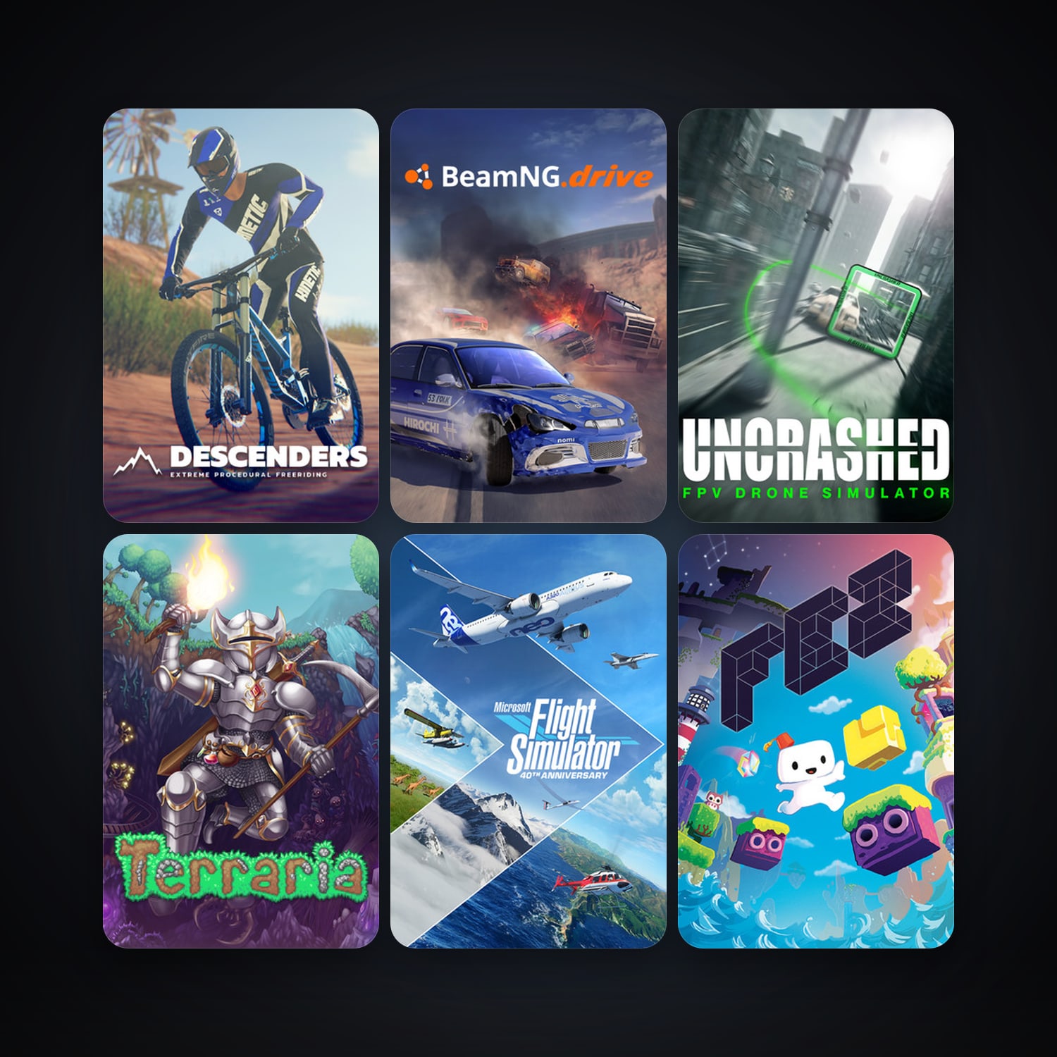 Portal 2 + Terraria, 165 games, Steam 11, clean — HabibiAccounts