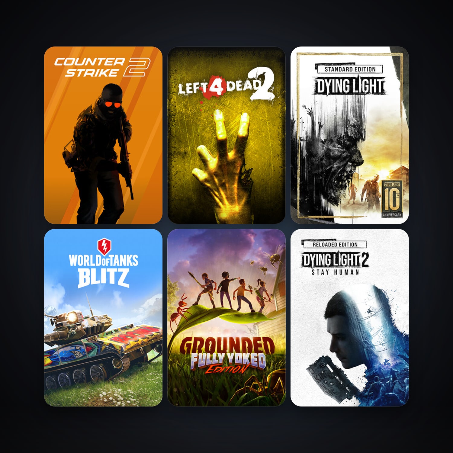 Left 4 Dead 2 + CS2 Prime, 97 games, Steam 10, clean — HabibiAccounts