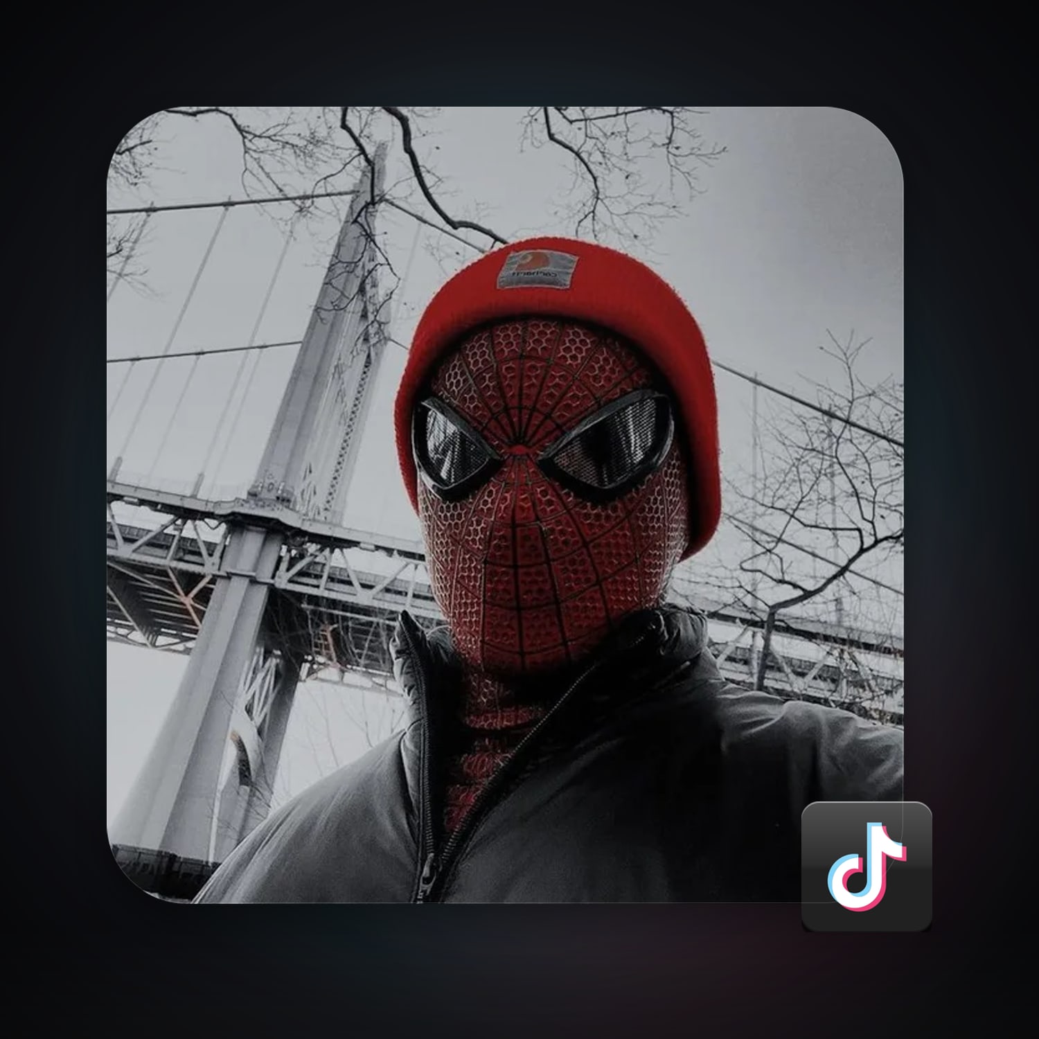 TikTok 14 followers — HabibiAccounts
