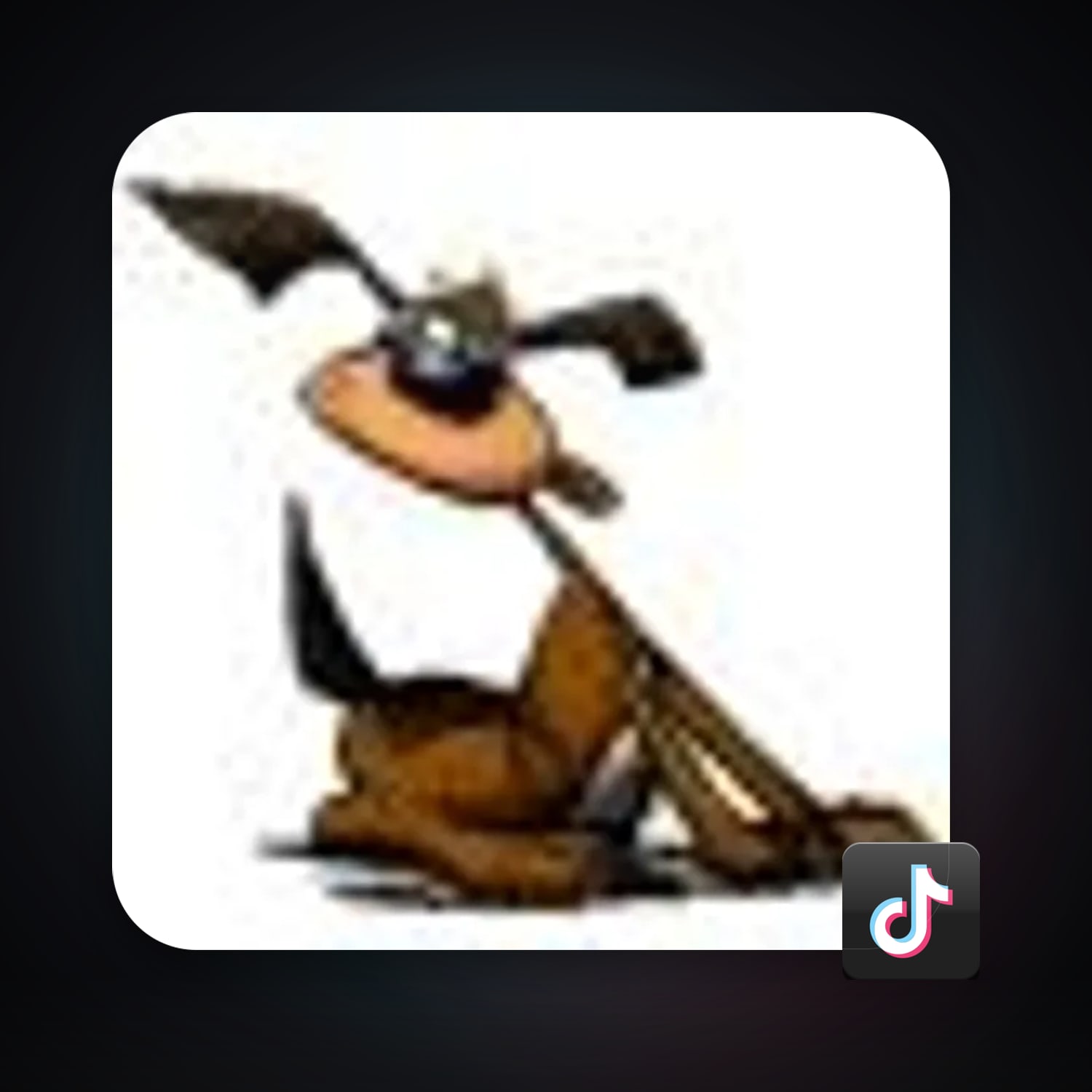 TikTok — HabibiAccounts
