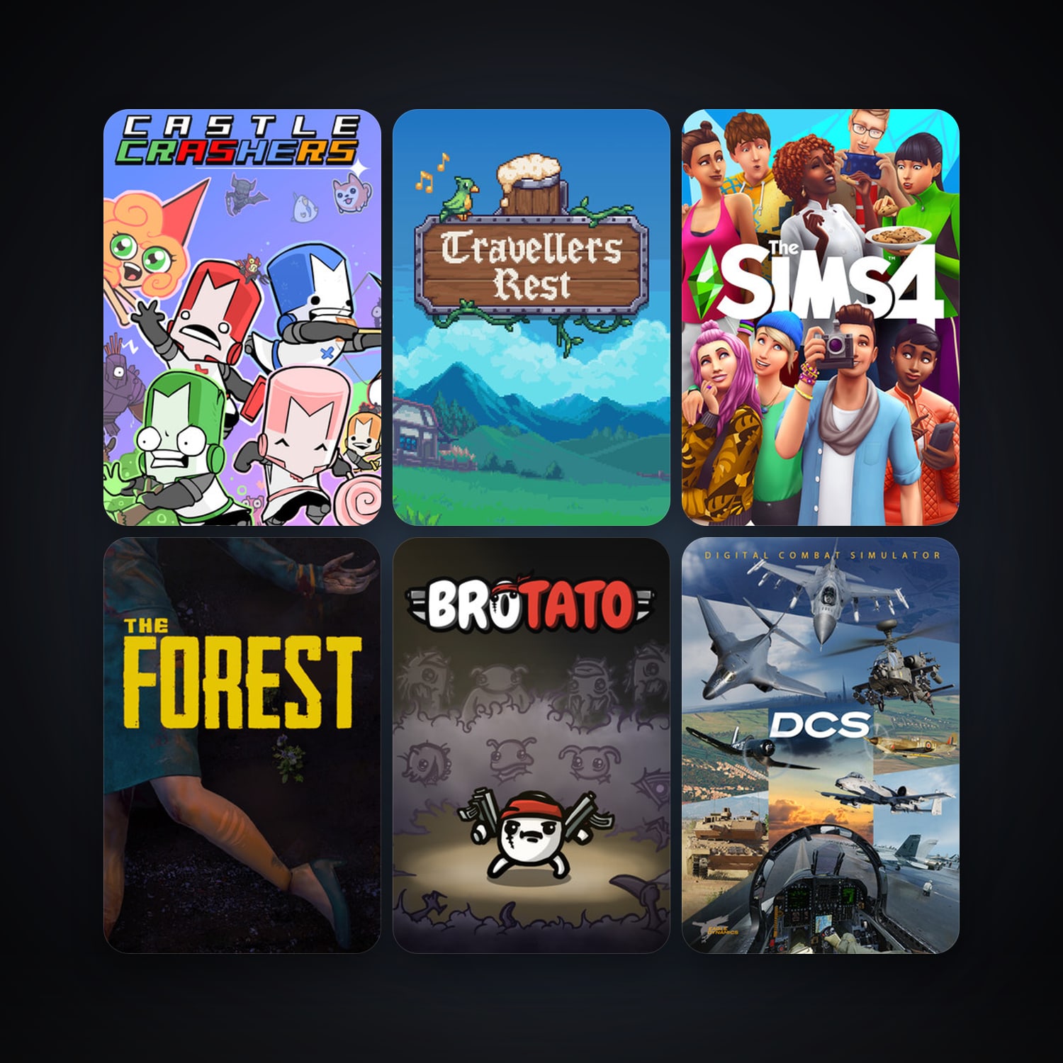 Castle Crashers + DCS World Steam Edition, 10 games, clean — HabibiAccounts