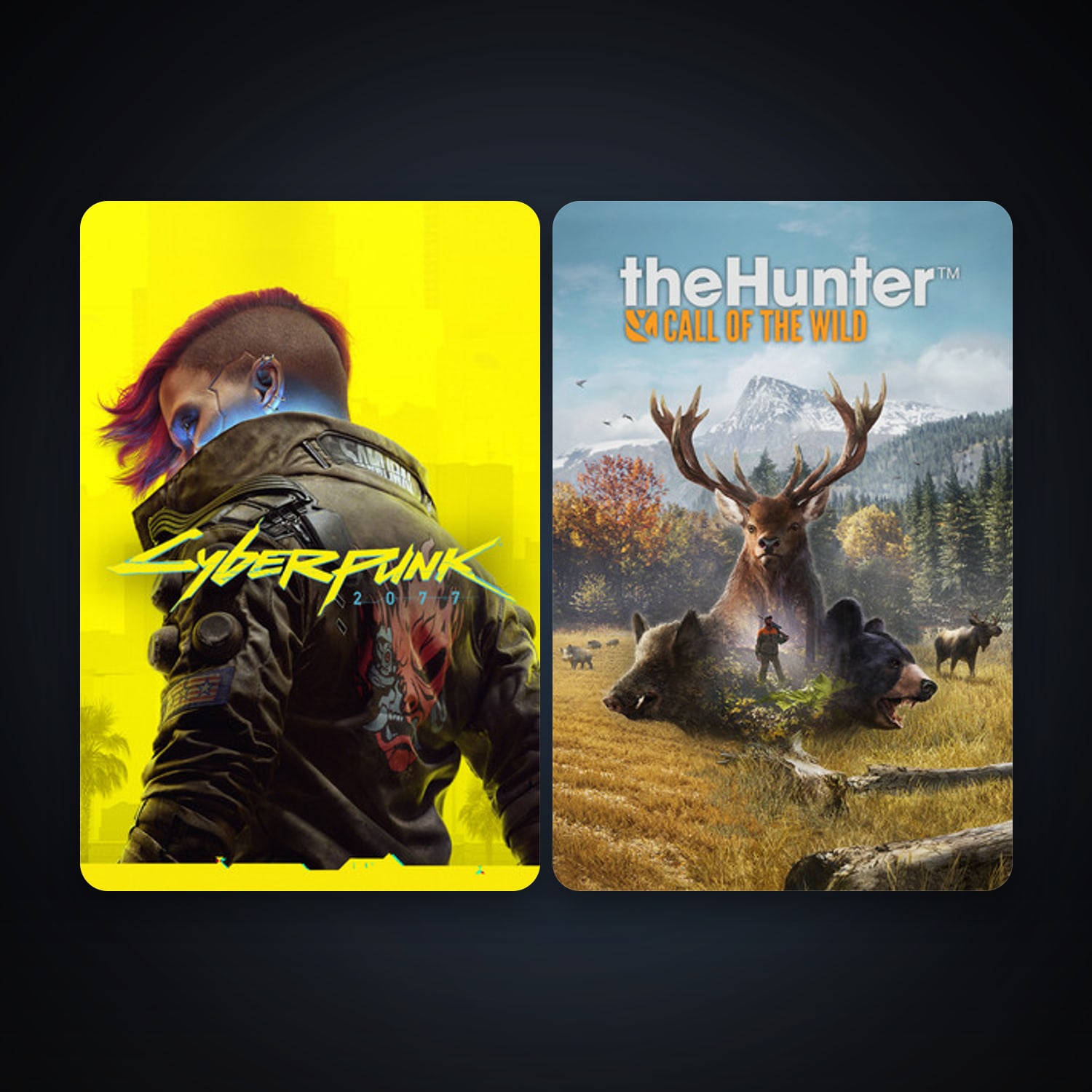 theHunter: Call of the Wild + Cyberpunk 2077, 2 games, clean — HabibiAccounts