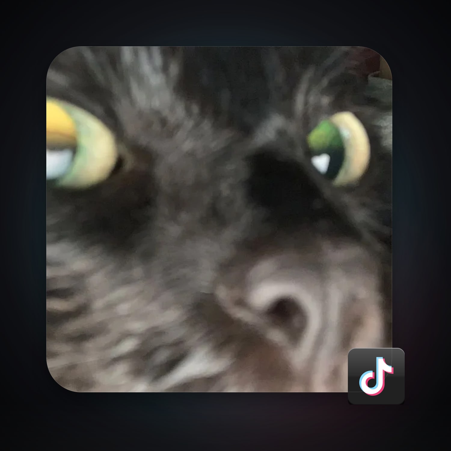 TikTok 429 followers — HabibiAccounts