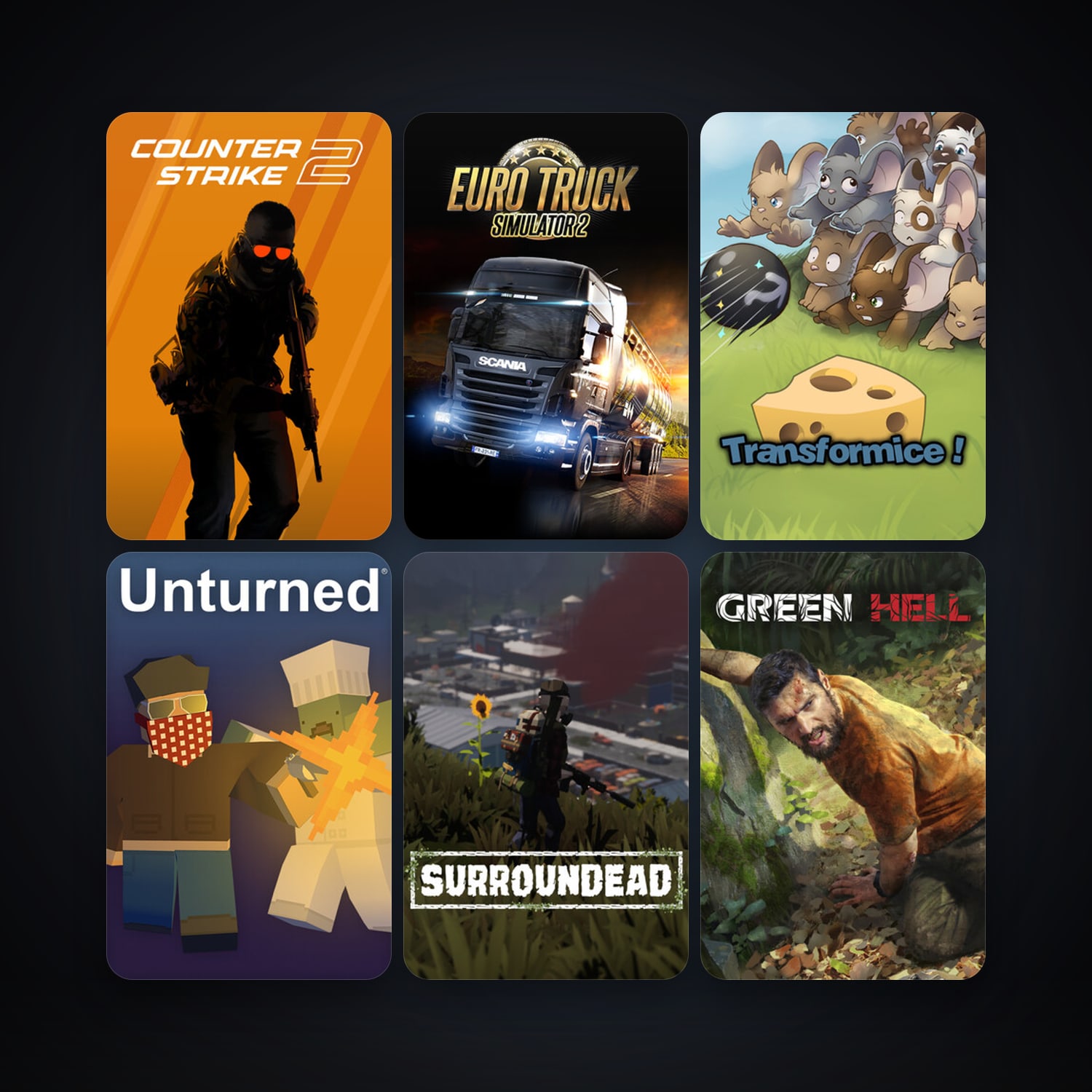 CS2 Prime + Euro Truck Simulator 2, 20 games, clean — HabibiAccounts