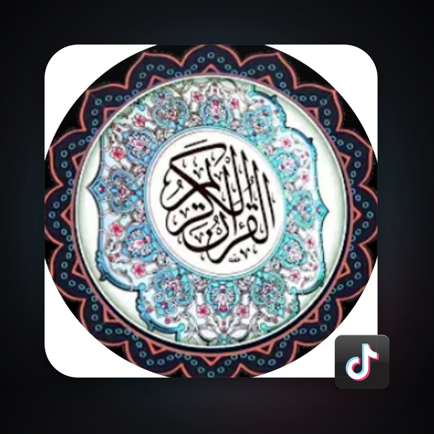 TikTok 504.3K followers — HabibiAccounts